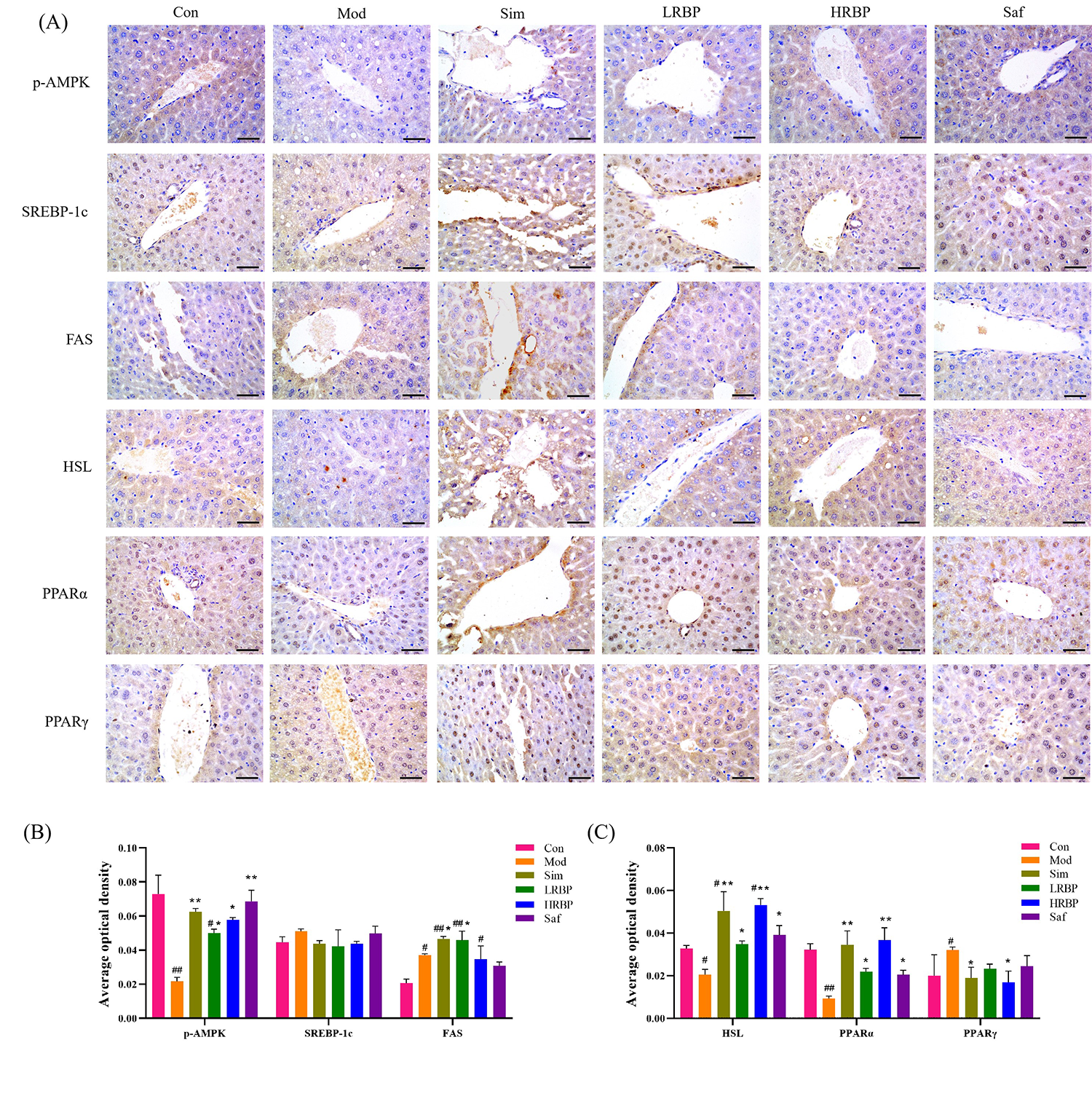 Nutrients 14 05066 g004 Nutrients 14 05066 g004
