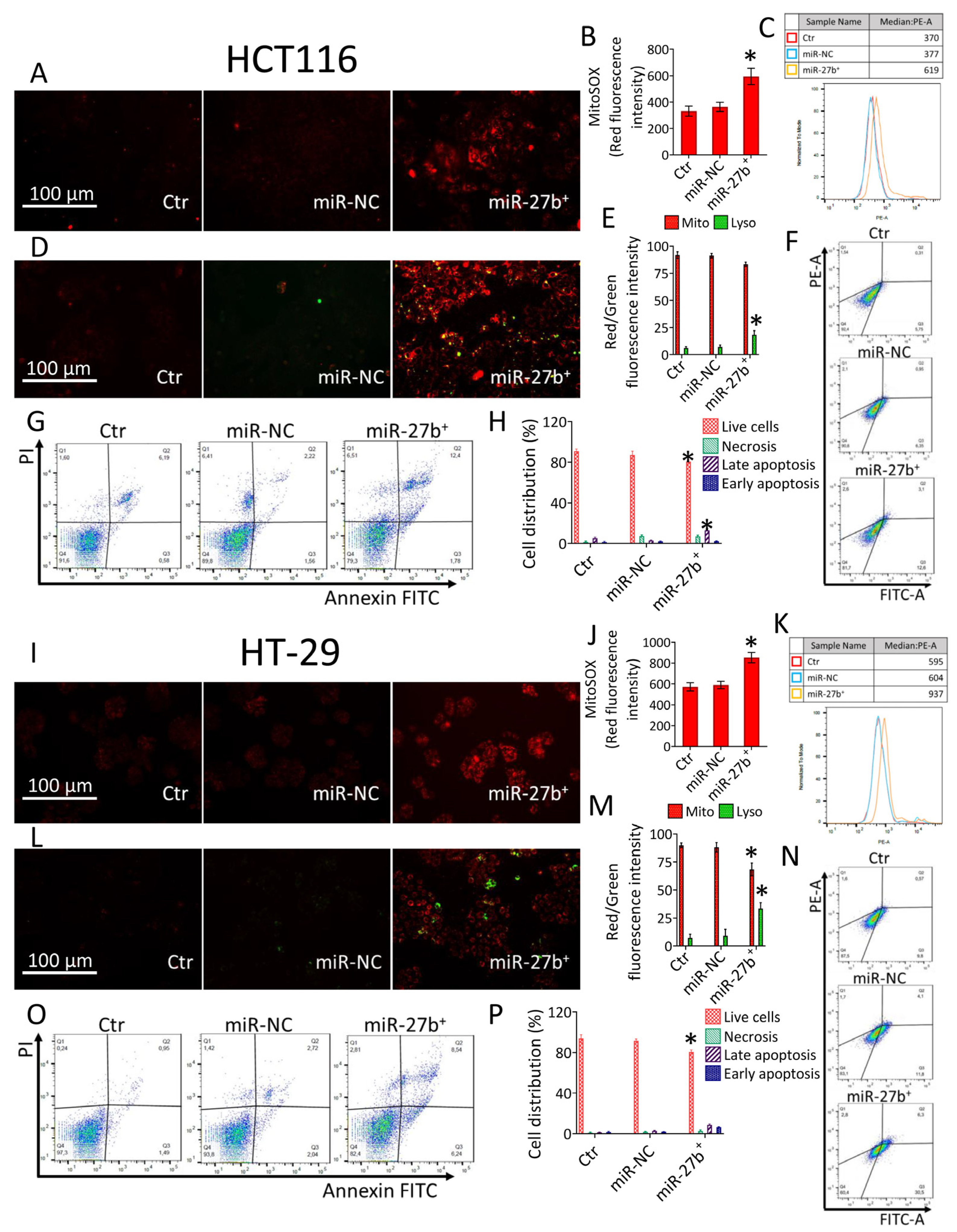 Nutrients 14 05081 g002
