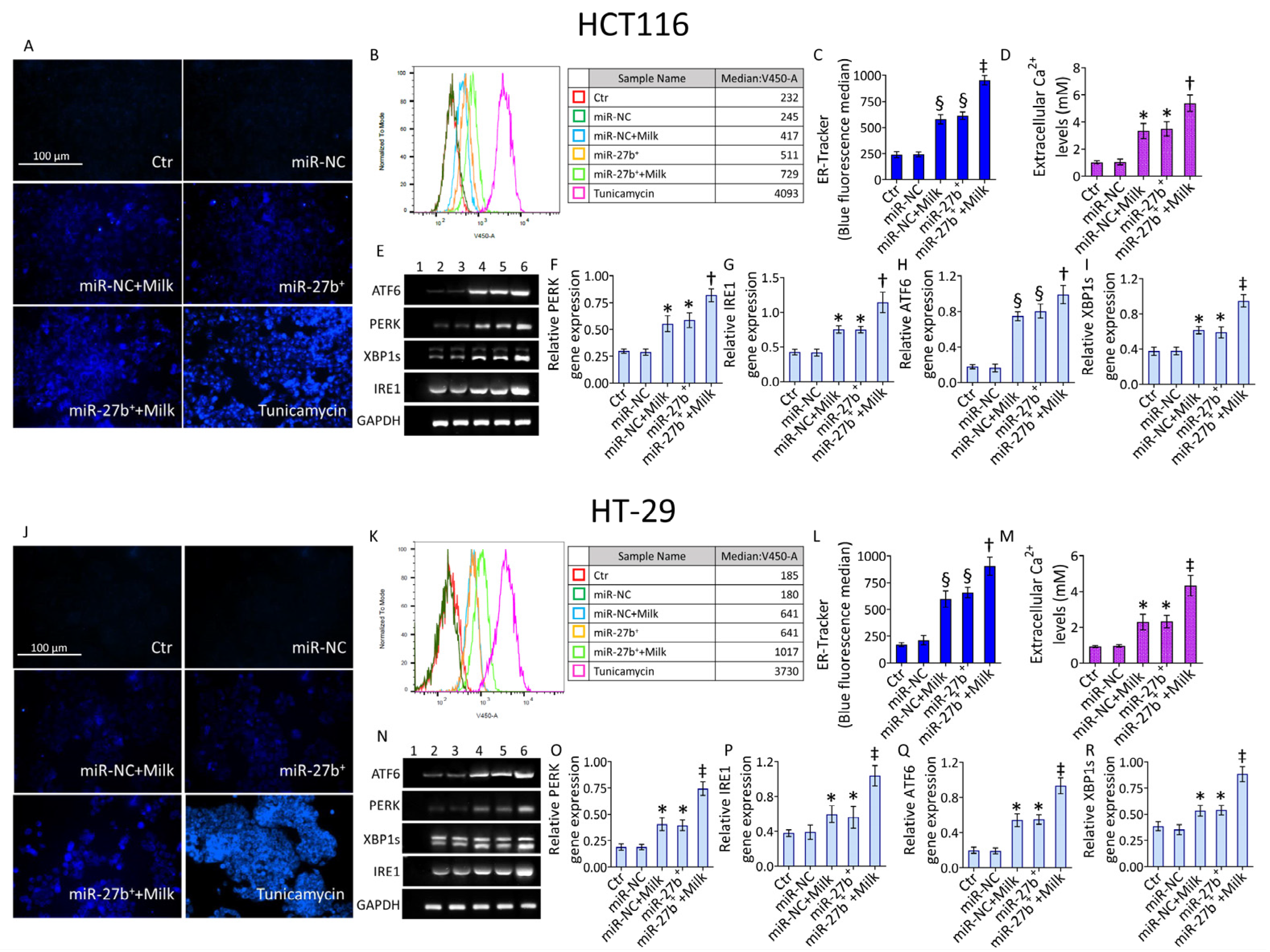 Nutrients 14 05081 g006