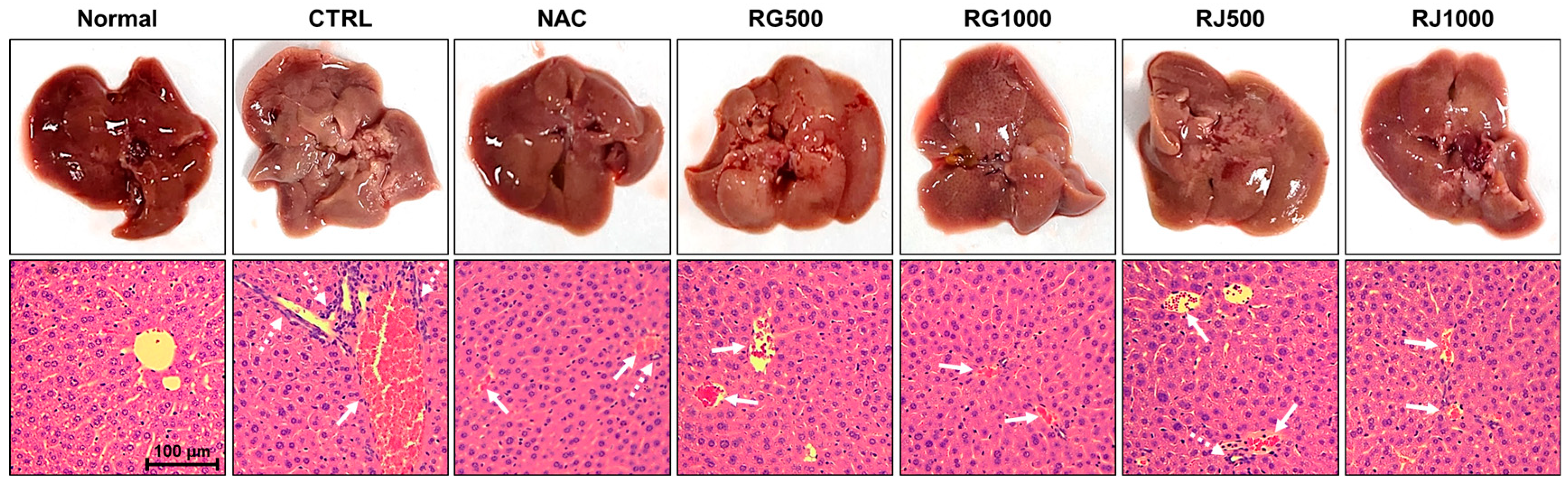 Nutrients 14 05082 g003