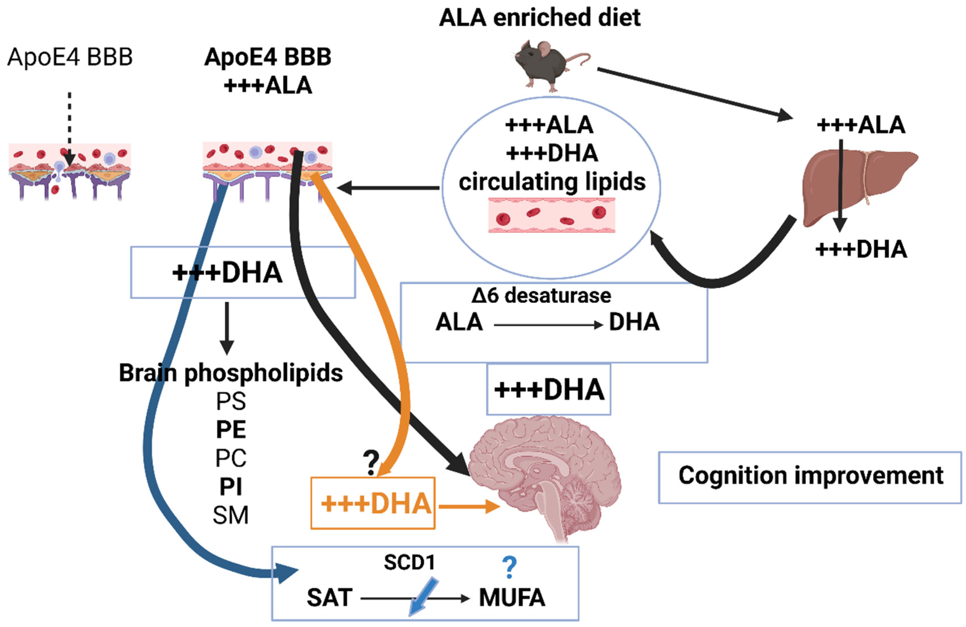 Nutrients 14 05091 g001