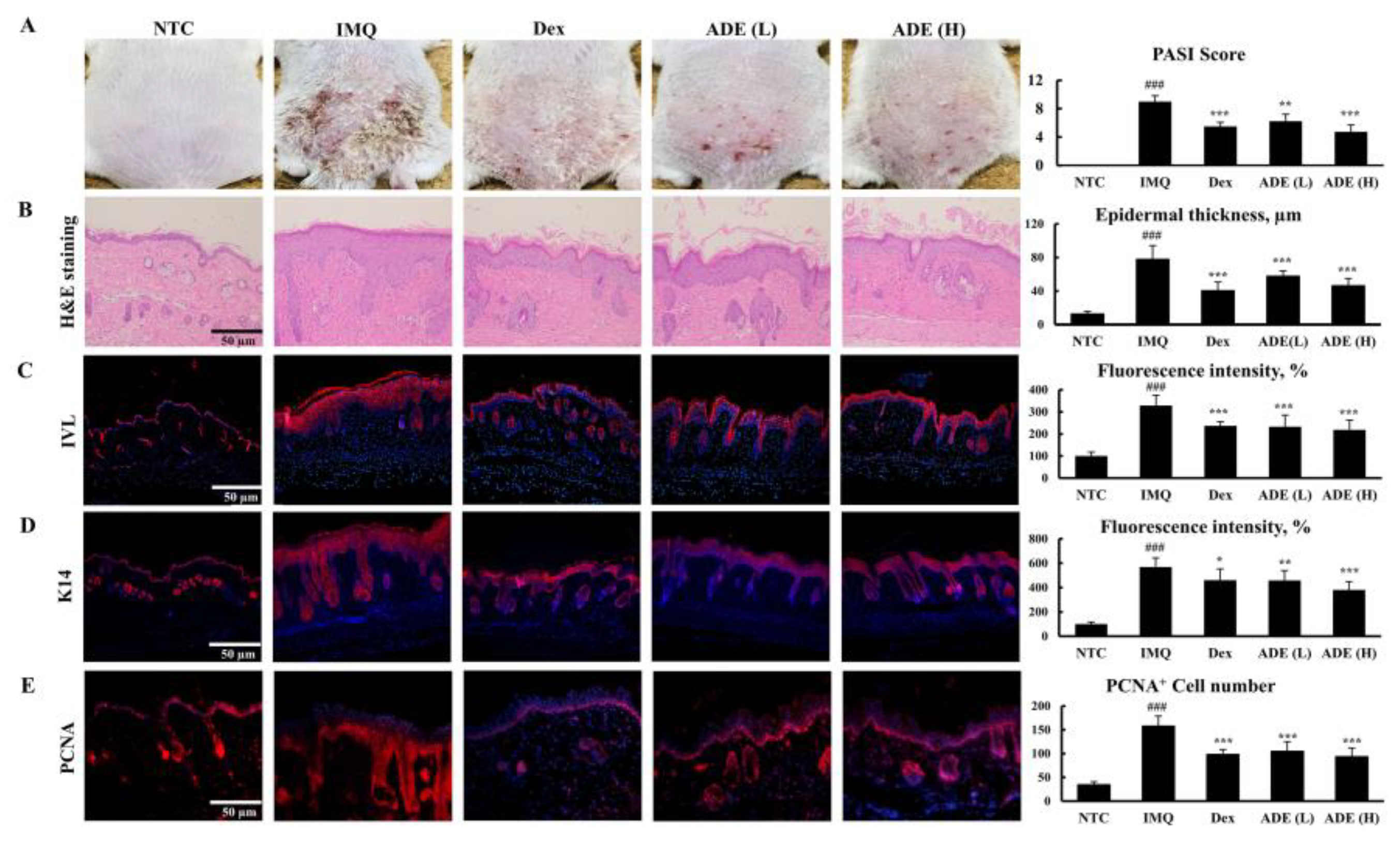 Nutrients 14 05094 g001