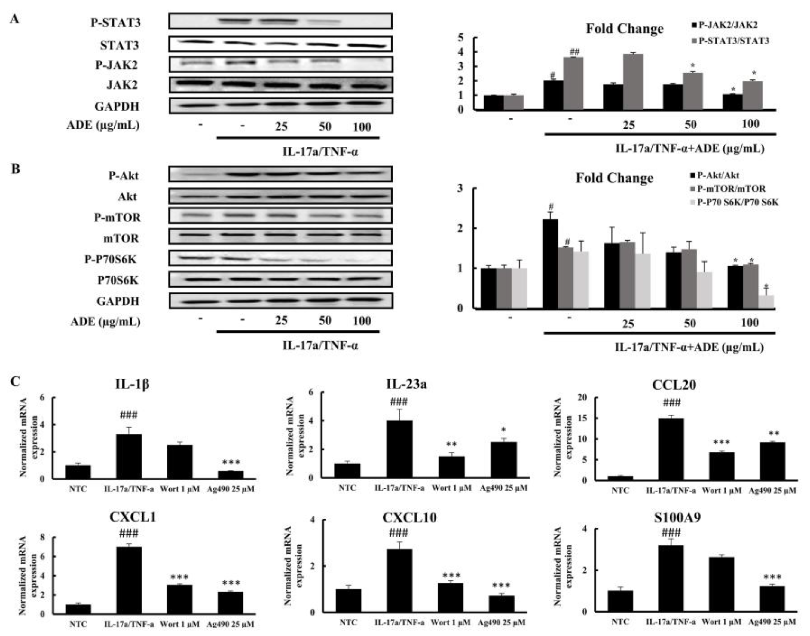 Nutrients 14 05094 g005