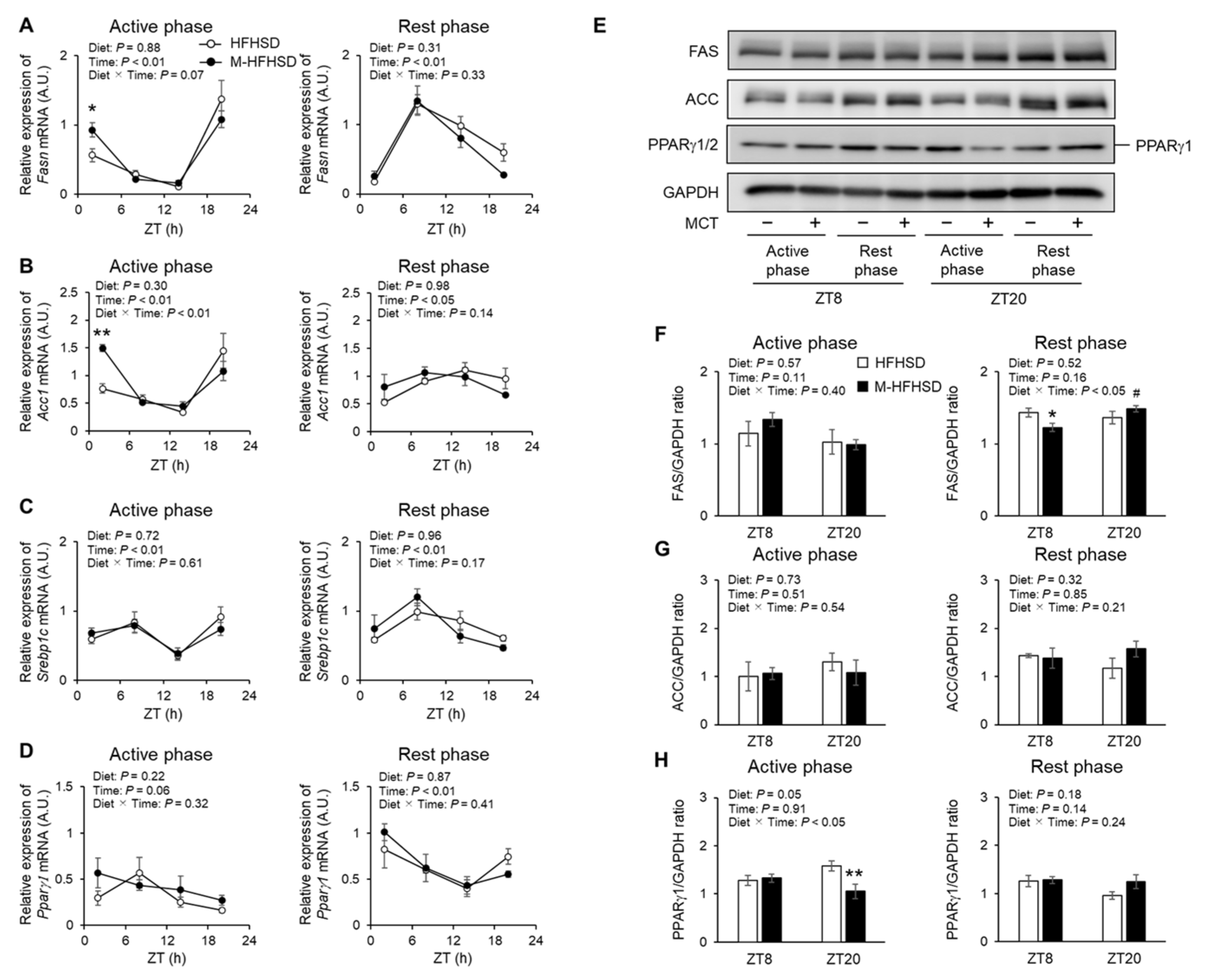 Nutrients 14 05096 g005 Nutrients 14 05096 g005