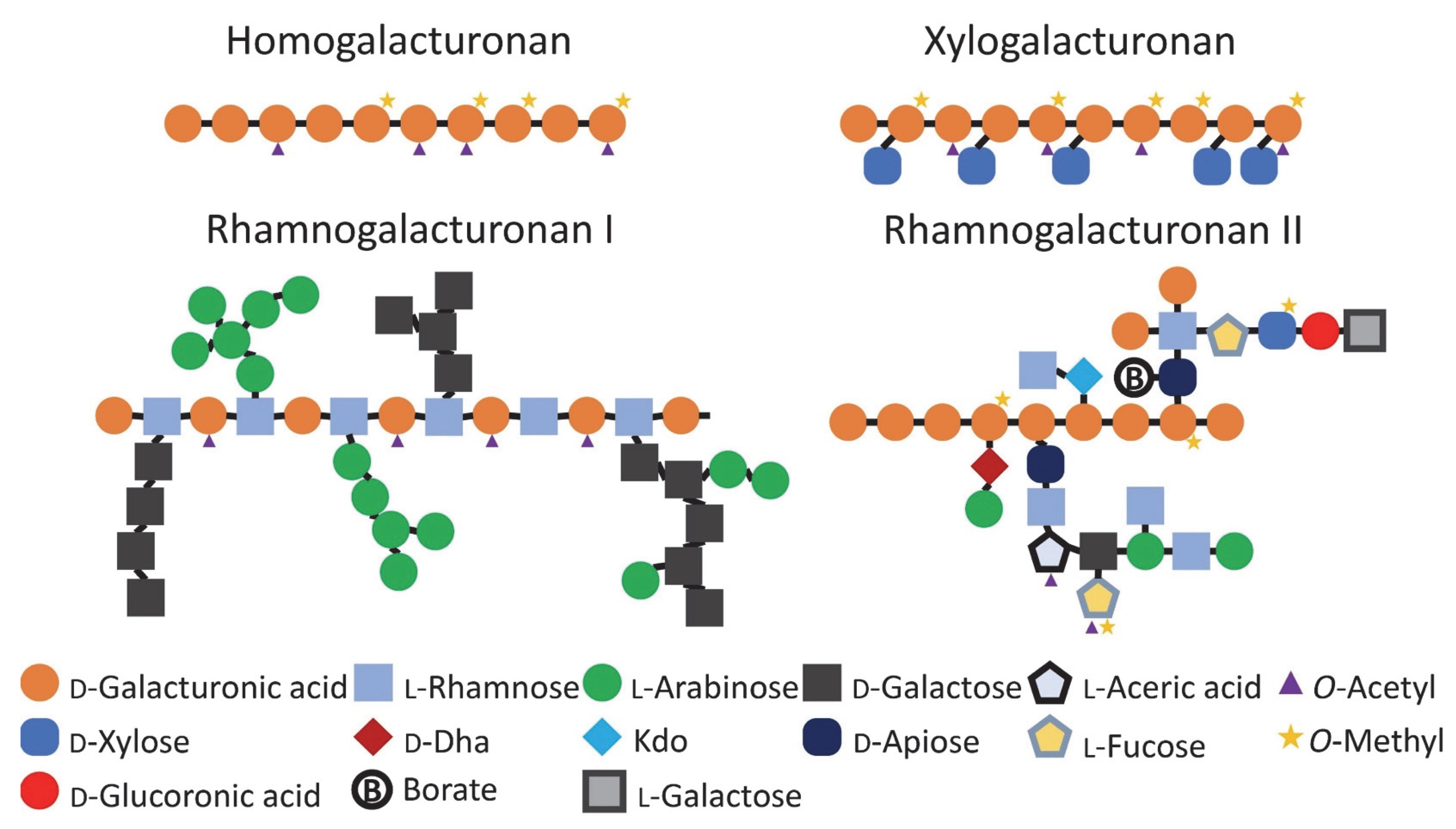 Preparation, physicochemical properties, and in vivo digestibility