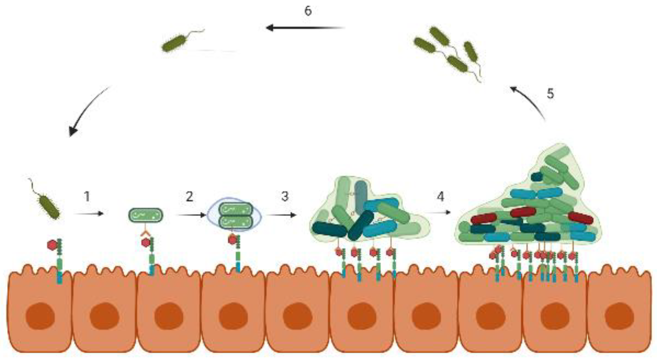 Nutrients 14 05112 g001 Nutrients 14 05112 g001