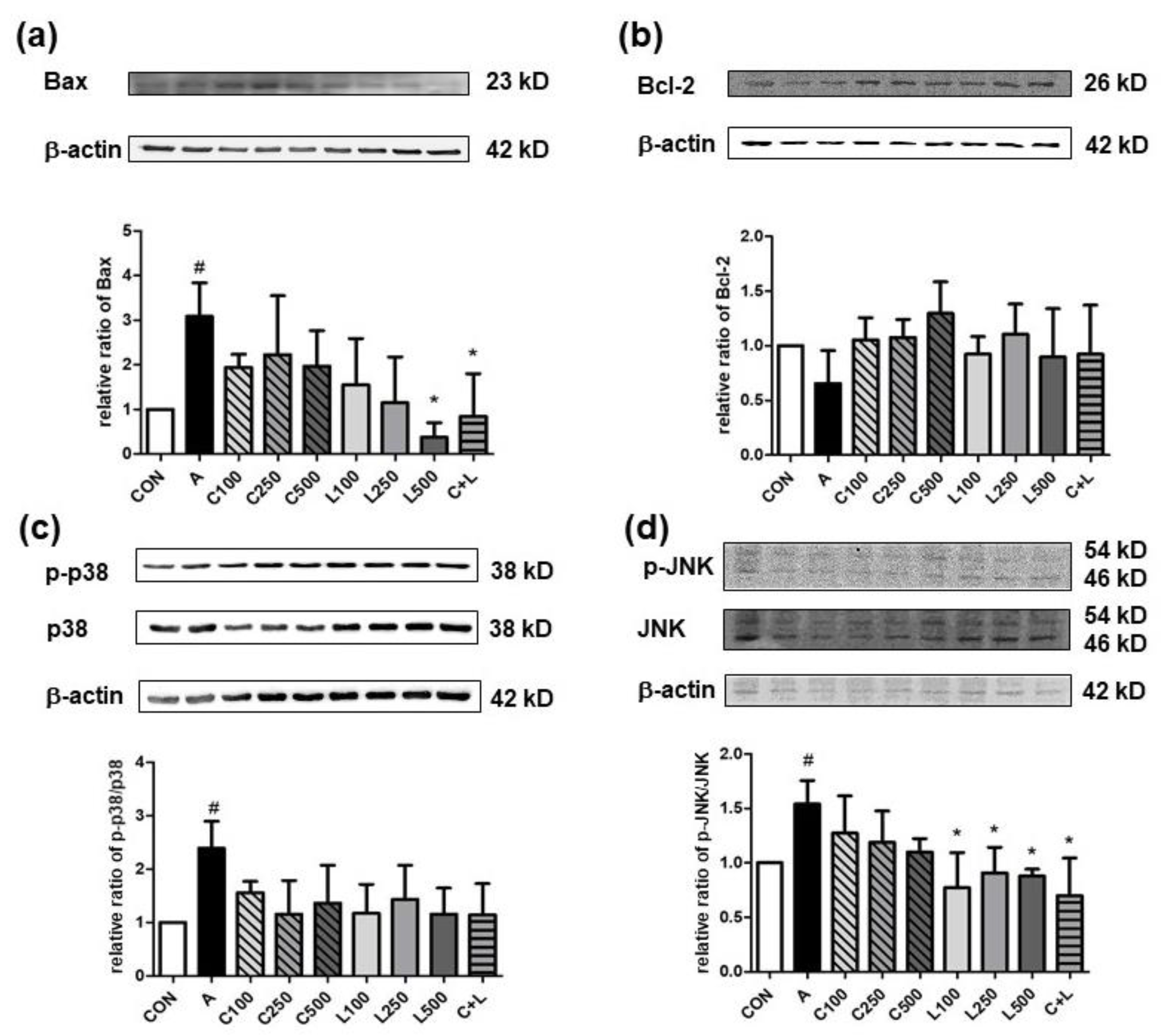 Nutrients 14 05113 g005 Nutrients 14 05113 g005