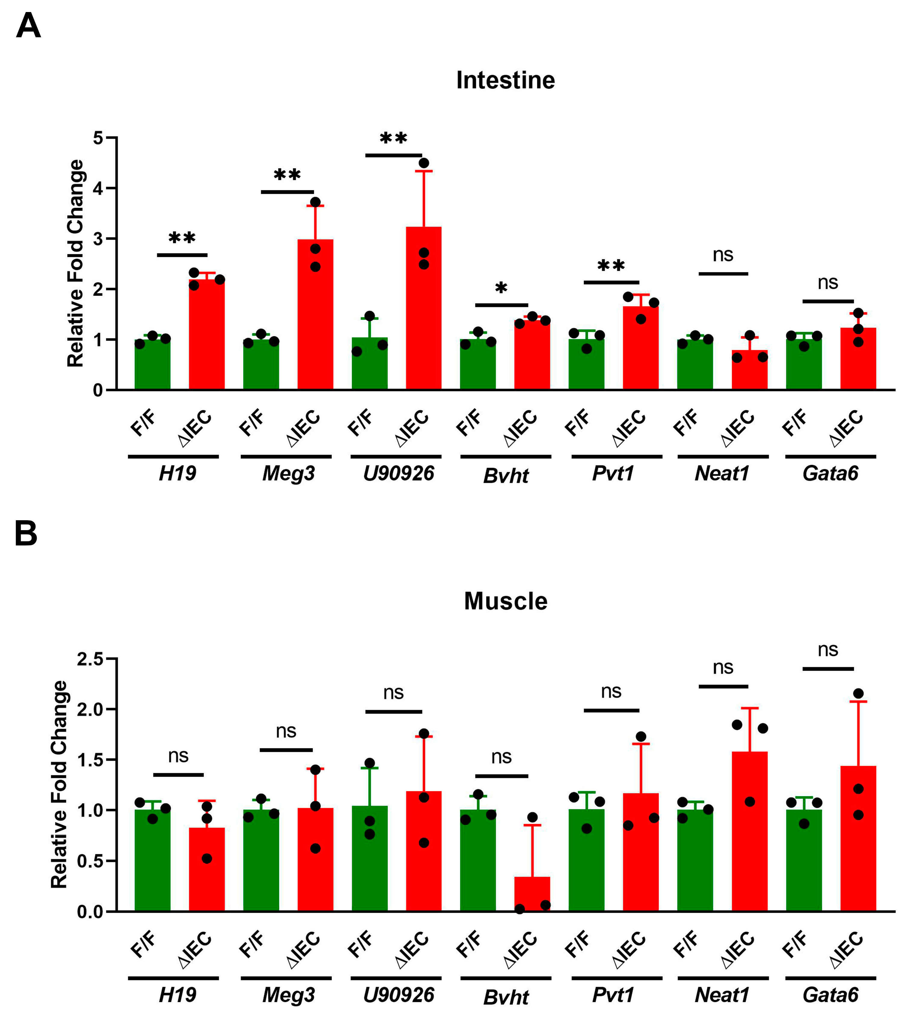 Nutrients 14 05114 g004