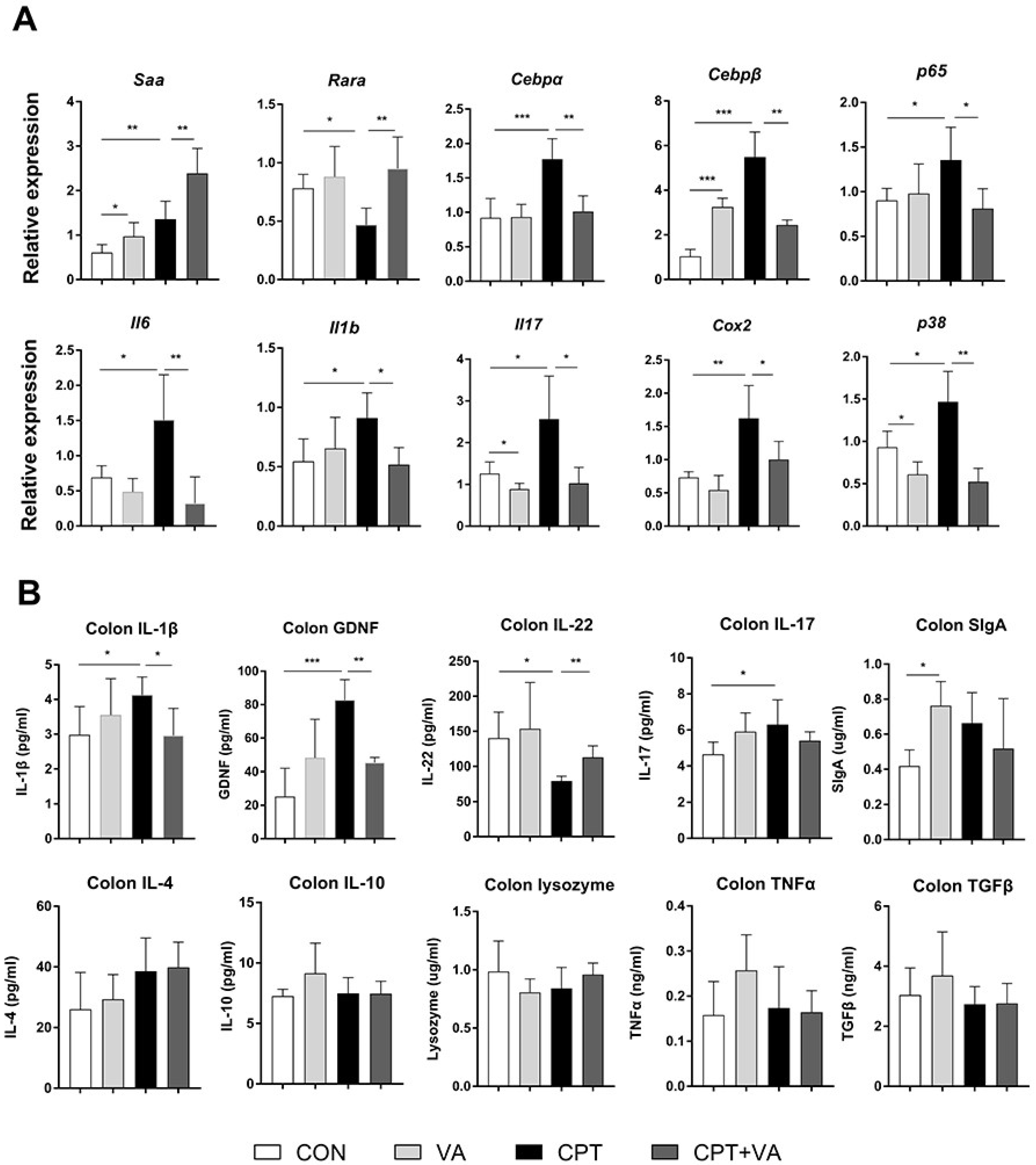 Nutrients 14 05120 g002 Nutrients 14 05120 g002