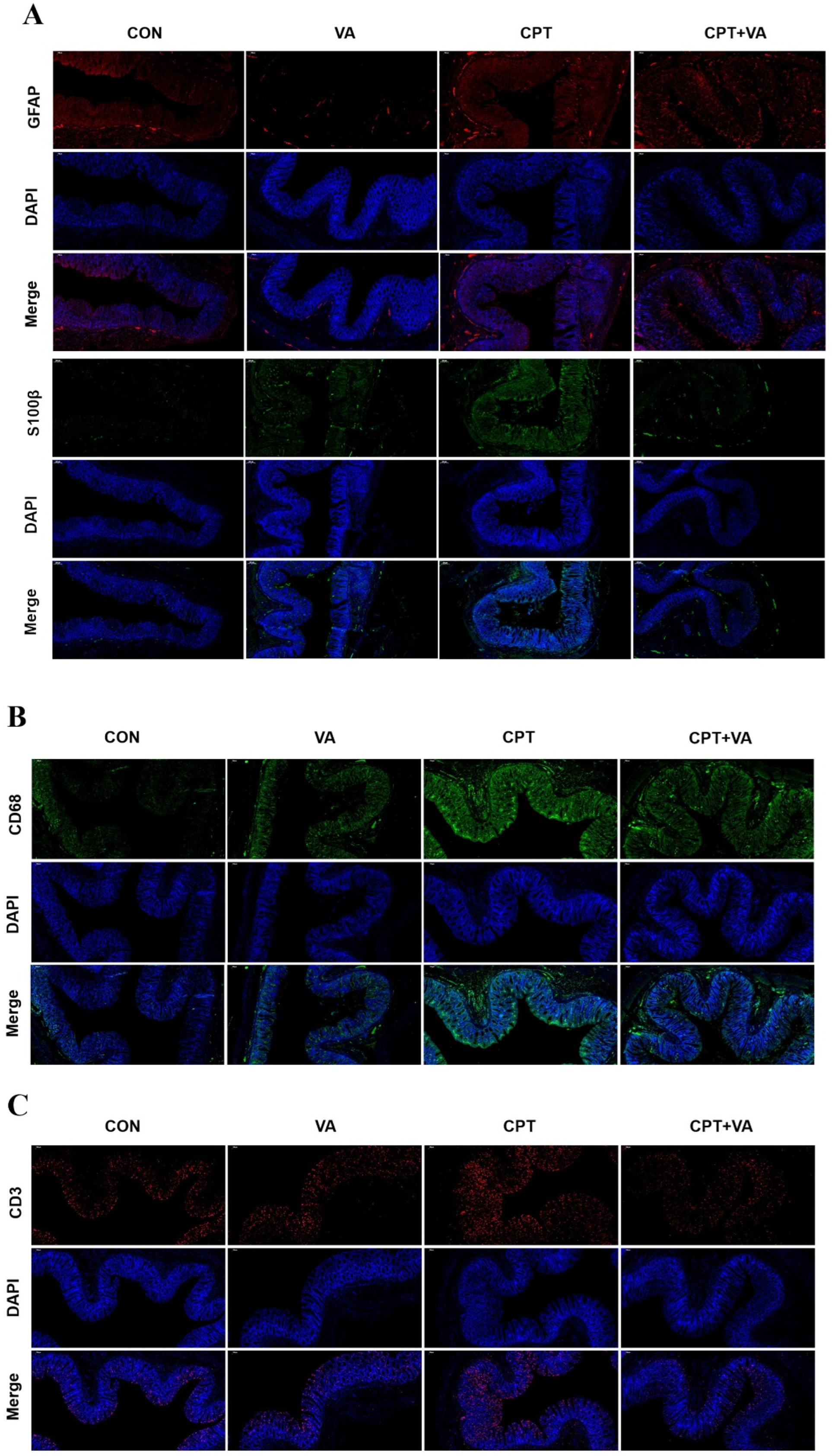 Nutrients 14 05120 g003 Nutrients 14 05120 g003