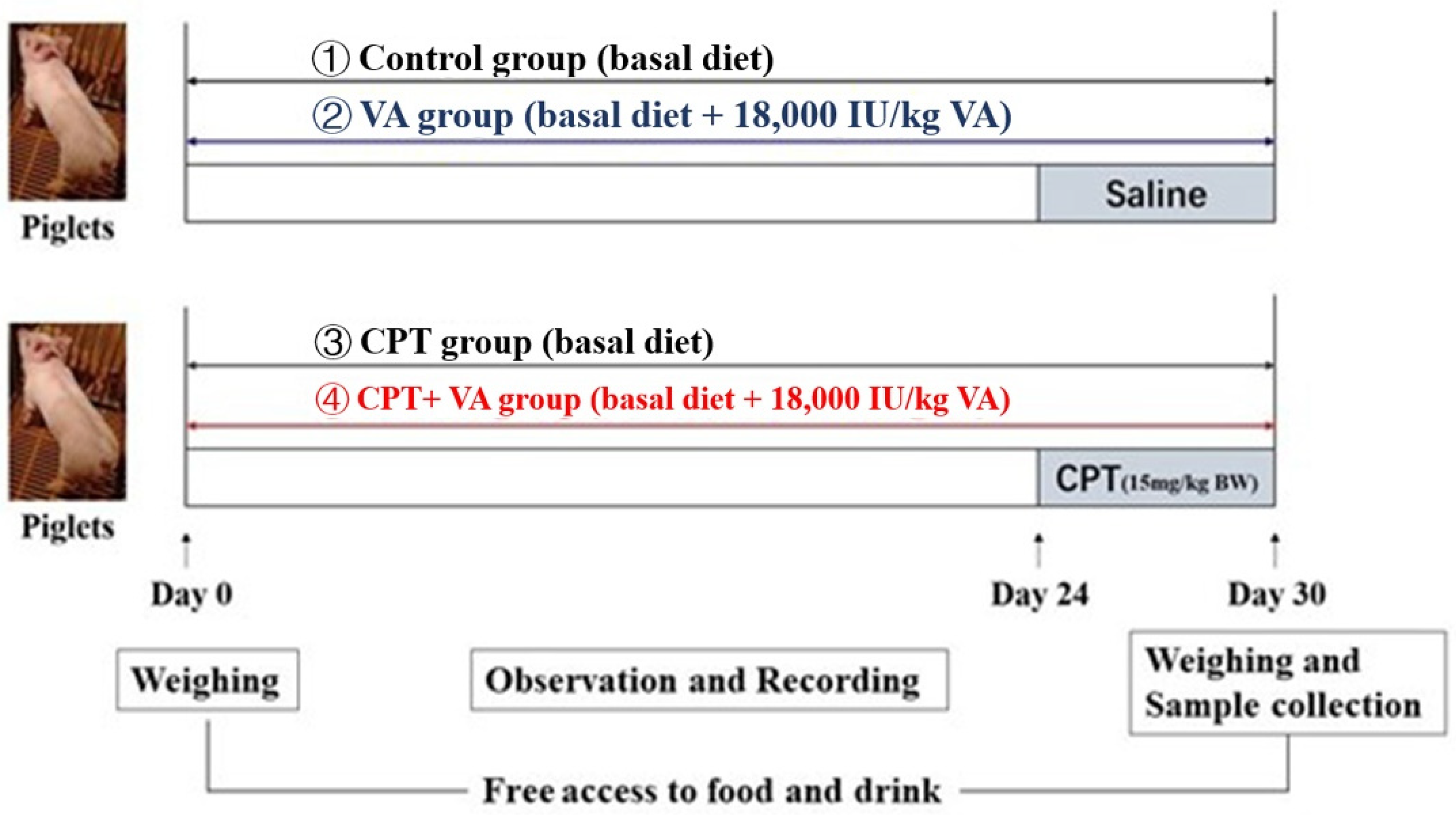 Nutrients 14 05120 sch001 Nutrients 14 05120 sch001