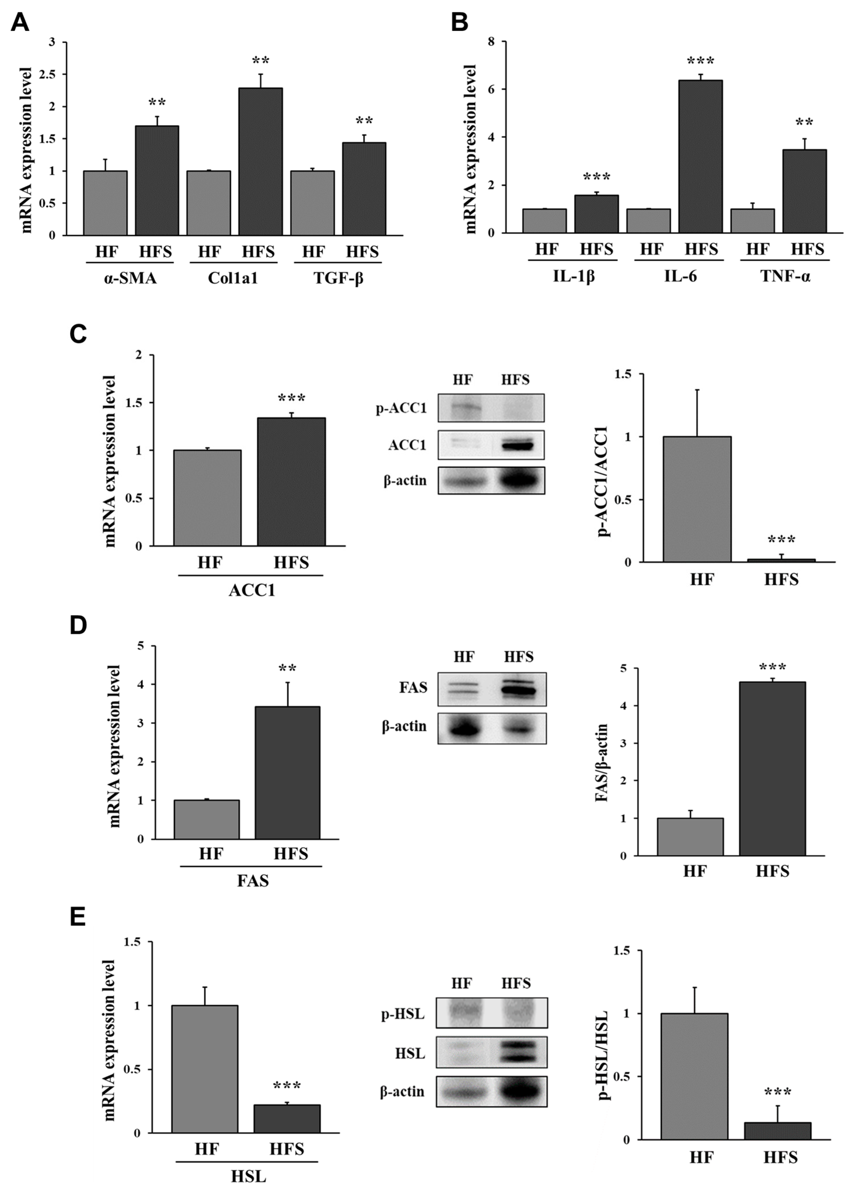 Nutrients 14 05124 g002 Nutrients 14 05124 g002