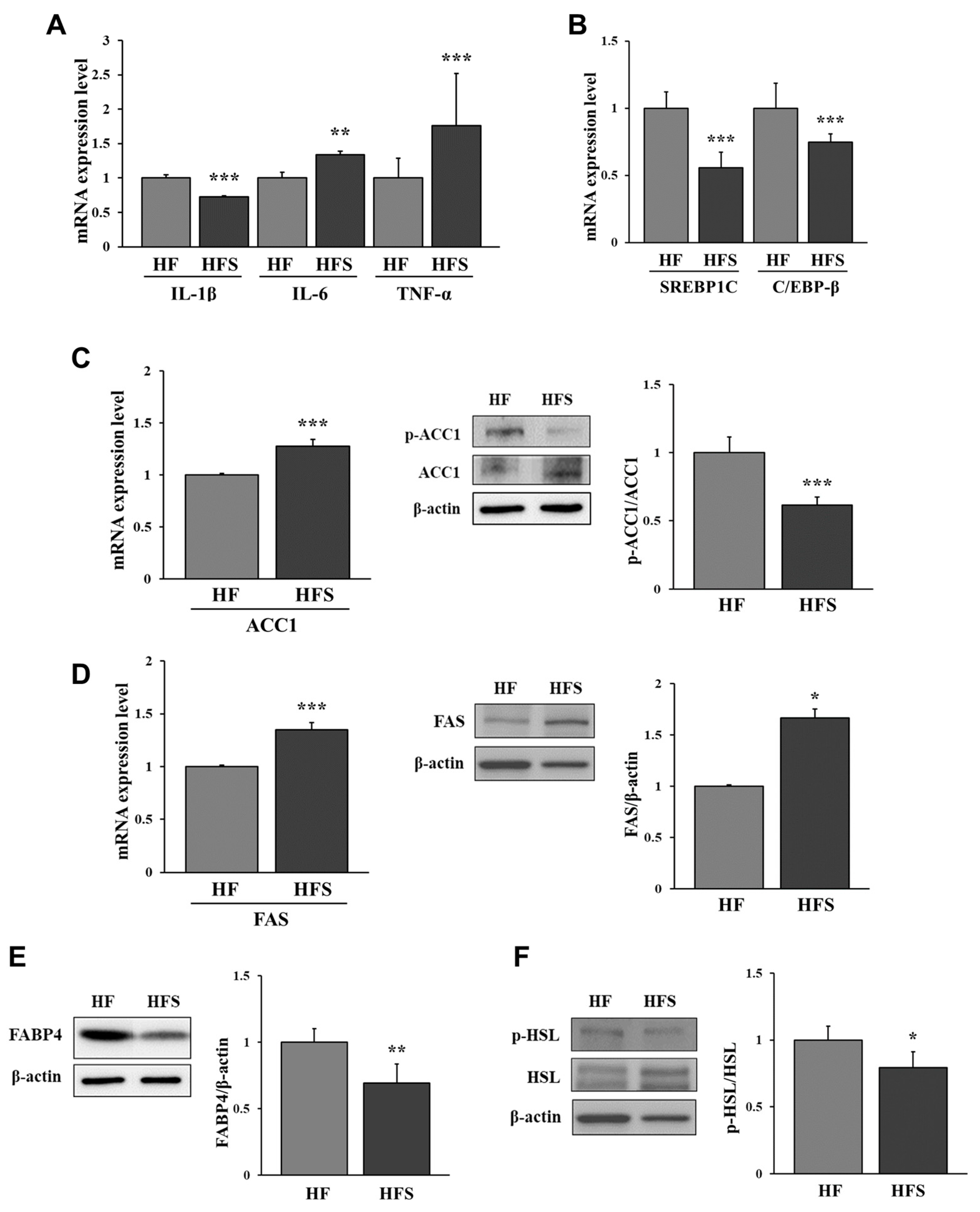 Nutrients 14 05124 g003 Nutrients 14 05124 g003