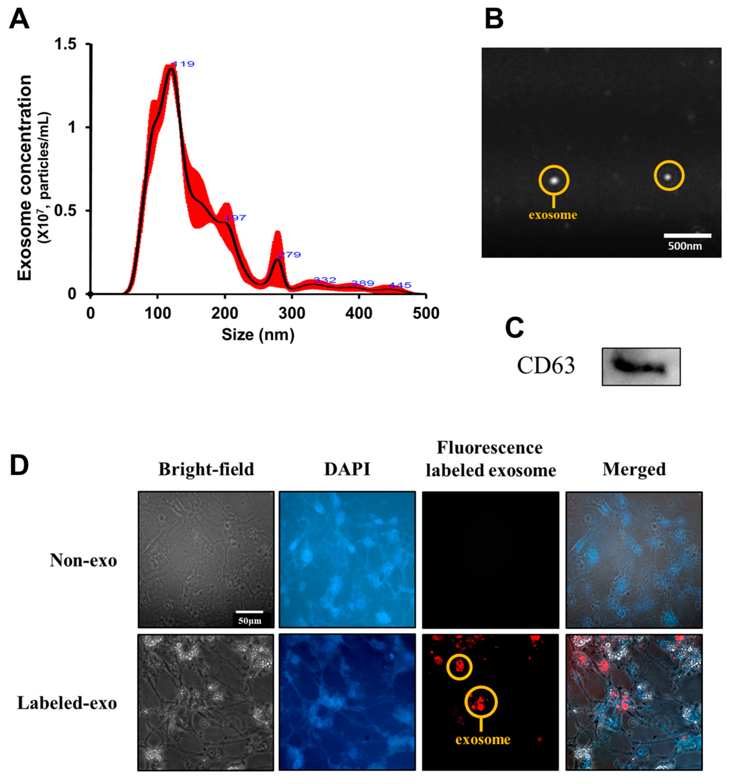 Nutrients 14 05124 g004 Nutrients 14 05124 g004