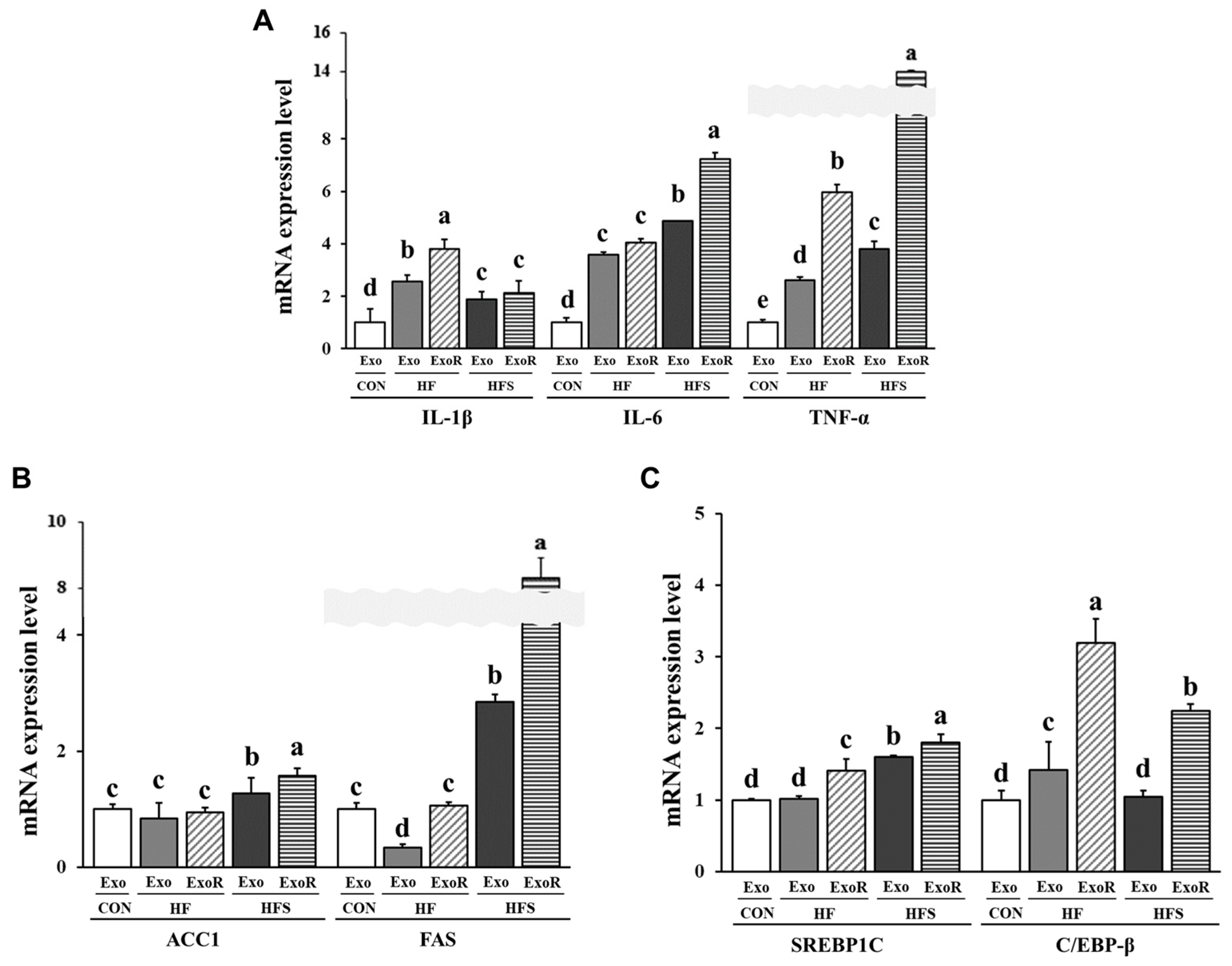Nutrients 14 05124 g007 Nutrients 14 05124 g007