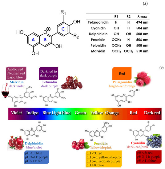 Behind the Scenes of Anthocyanins—From the Health Benefits to  Potential Applications in Food, Pharmaceutical and Cosmetic Fields