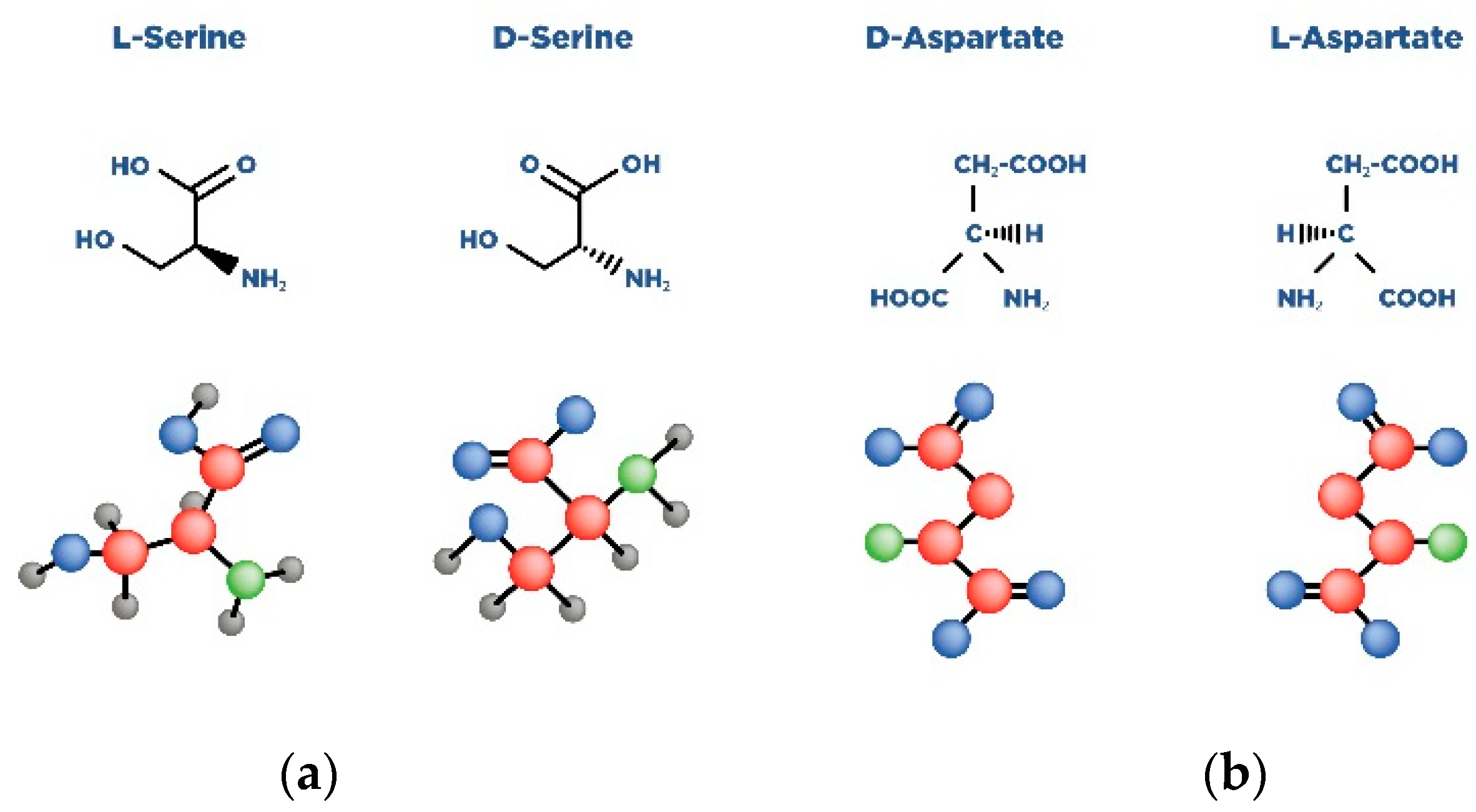 Nutrients 14 05142 g004 Nutrients 14 05142 g004