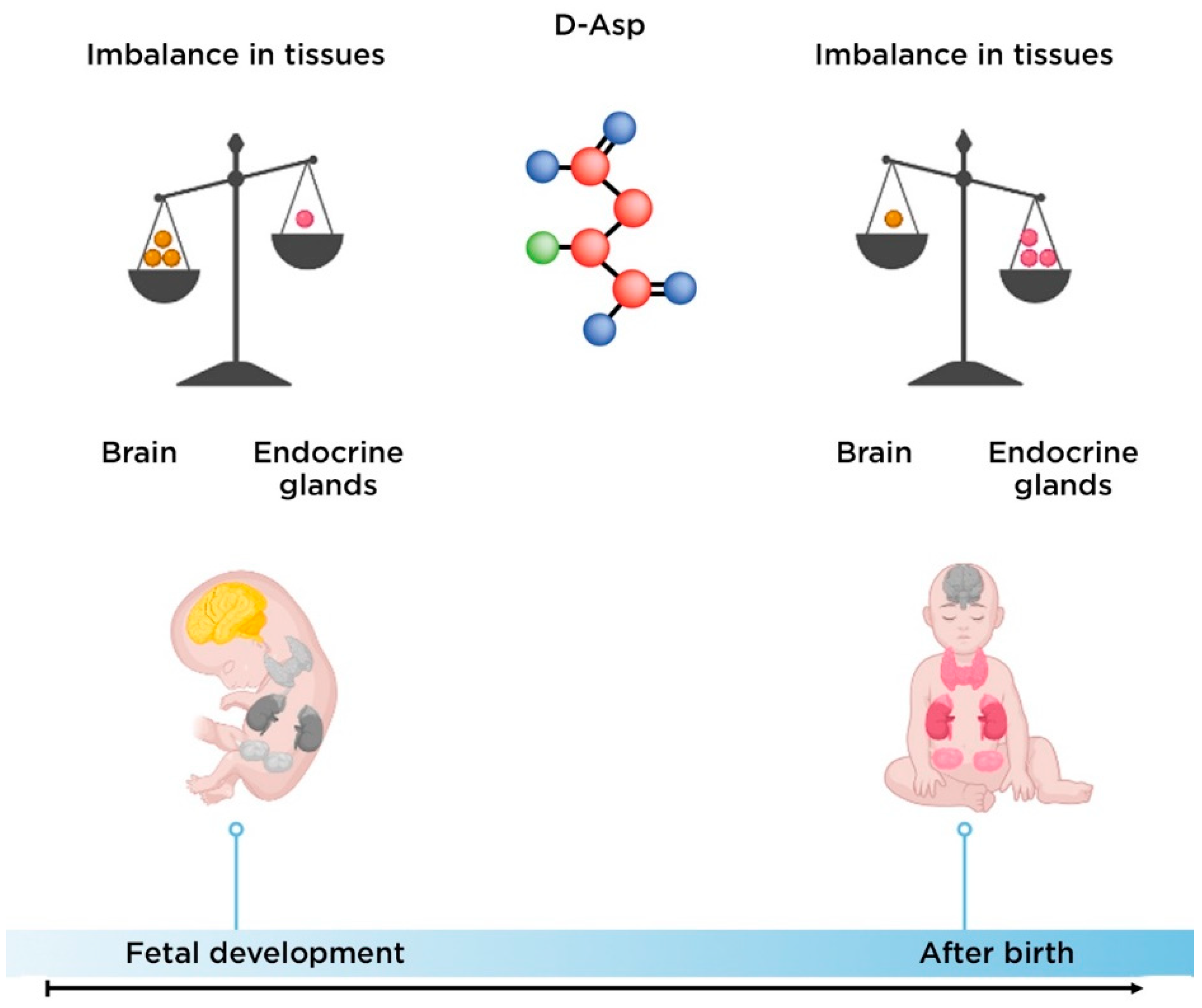 Nutrients 14 05142 g005 Nutrients 14 05142 g005