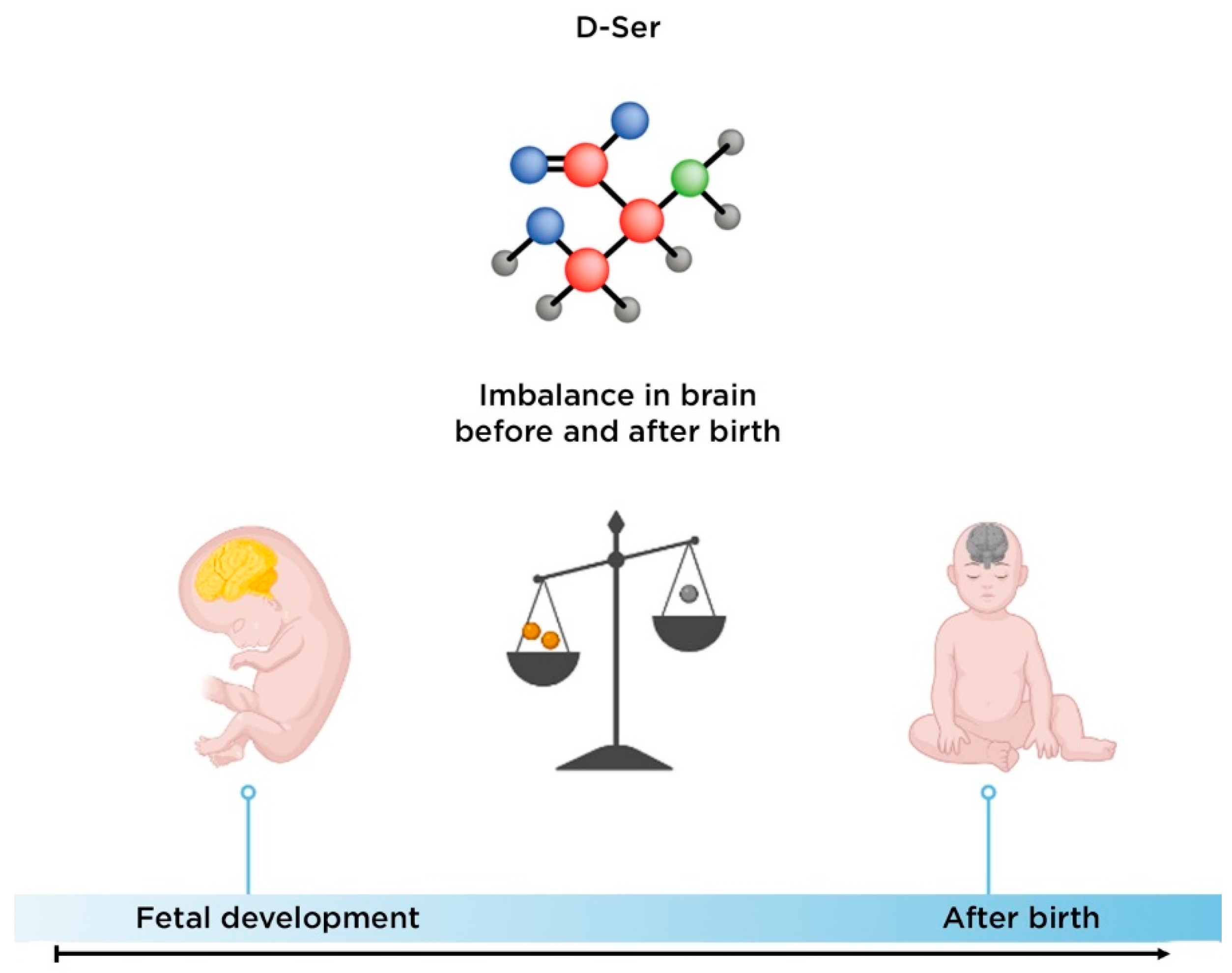 Nutrients 14 05142 g006 Nutrients 14 05142 g006