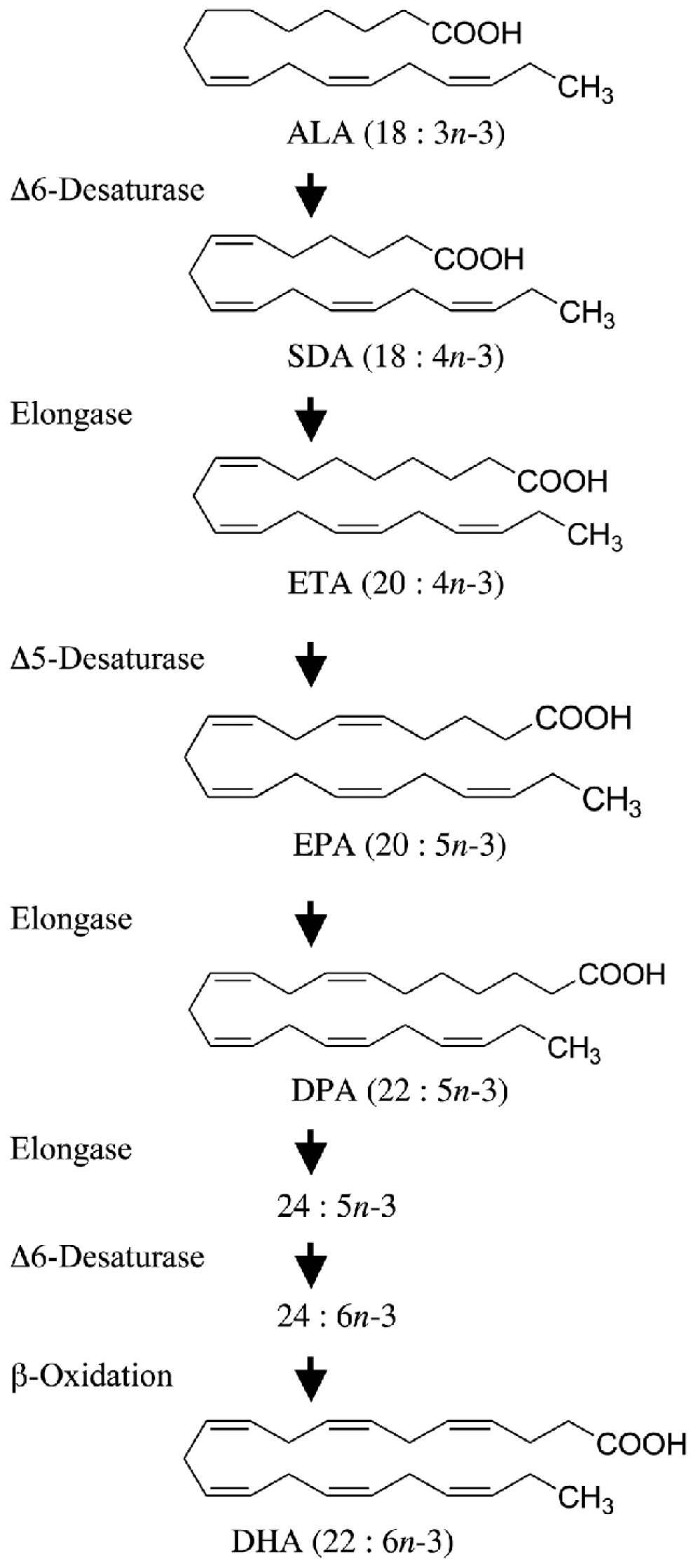 Nutrients 14 05146 g001 550