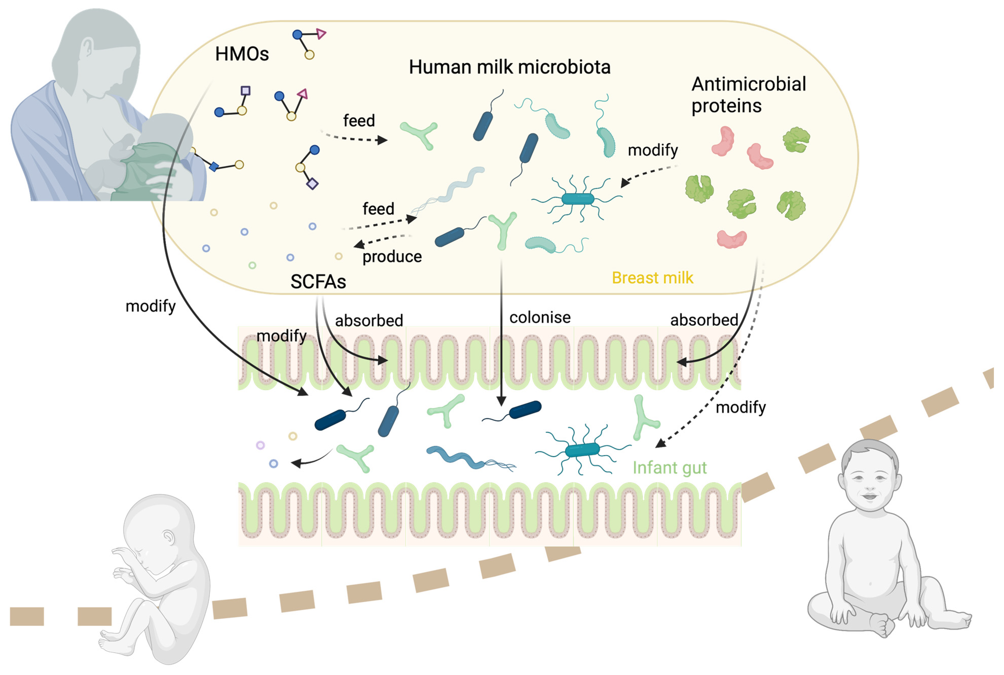 Nutrients 14 05148 g001