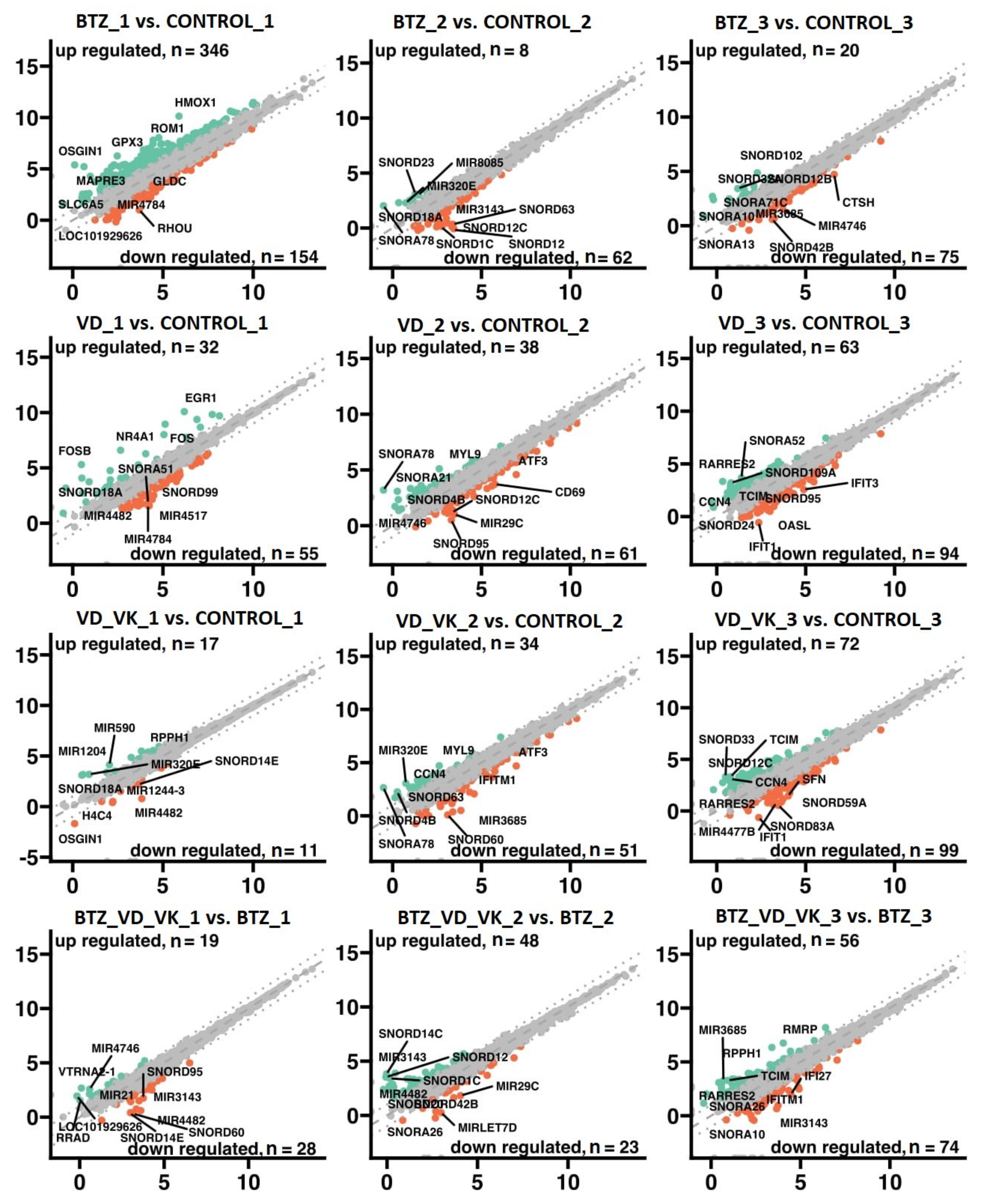 Nutrients 14 05190 g006 Nutrients 14 05190 g006