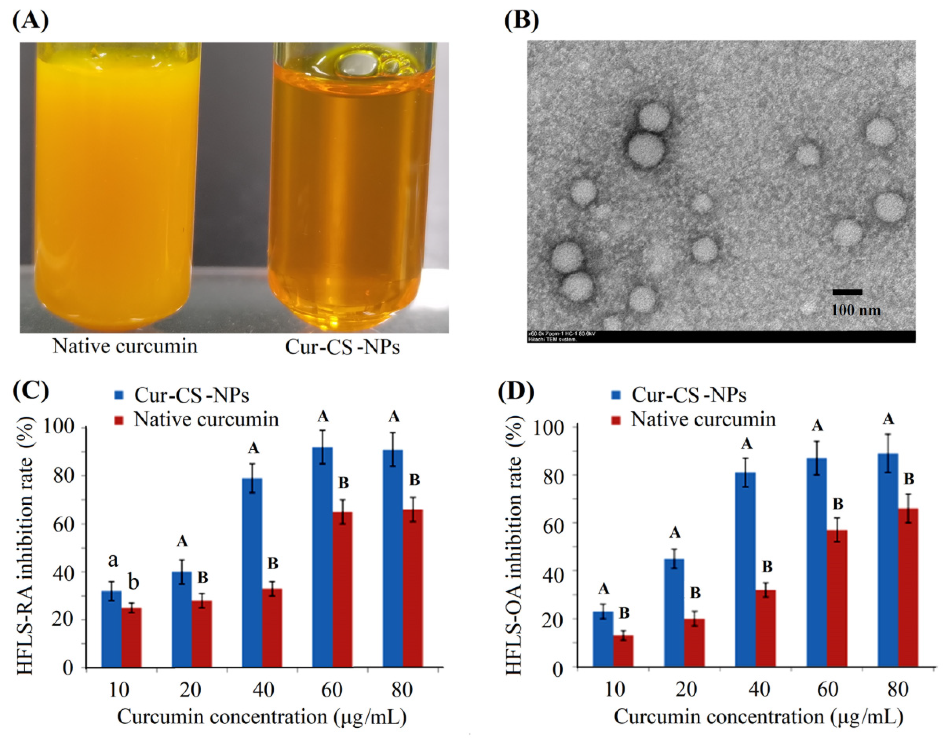 Nutrients 14 05192 g004