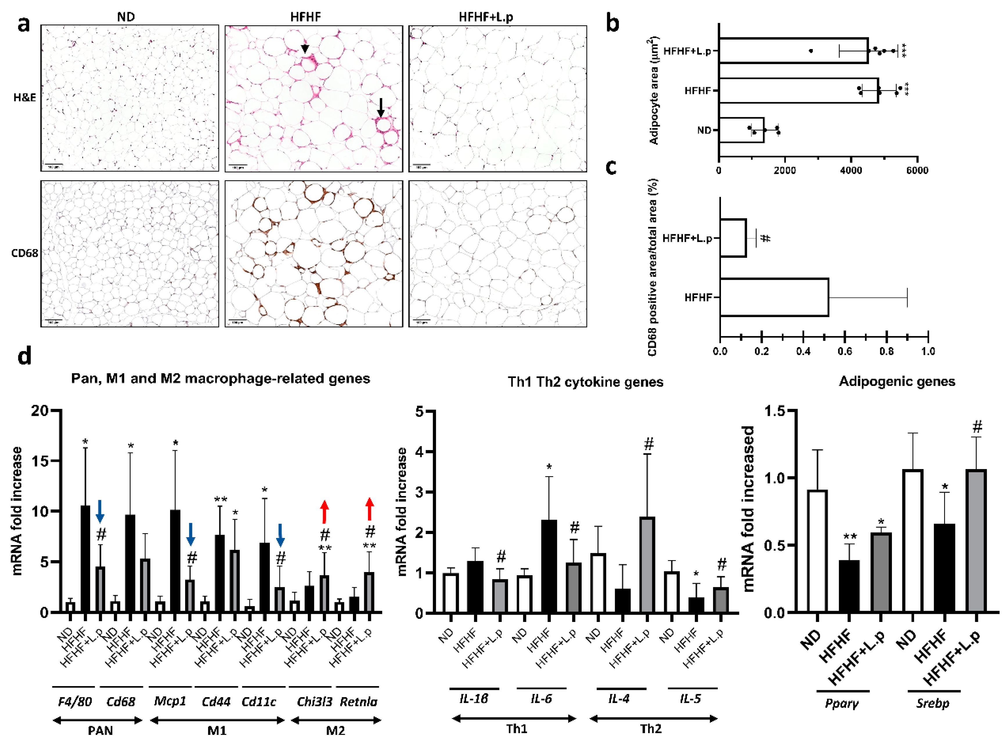 Nutrients 14 05212 g003 Nutrients 14 05212 g003