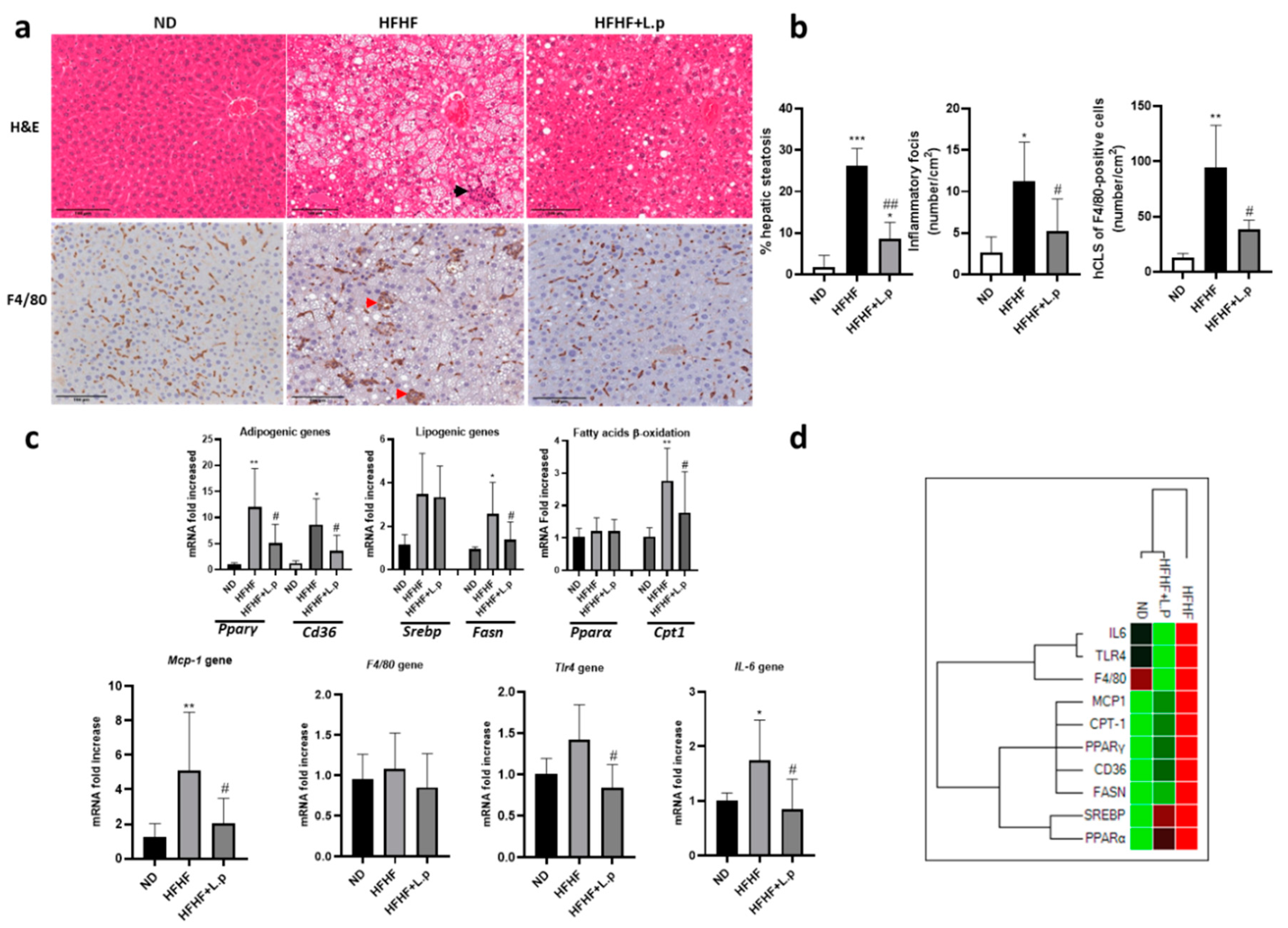 Nutrients 14 05212 g004 Nutrients 14 05212 g004
