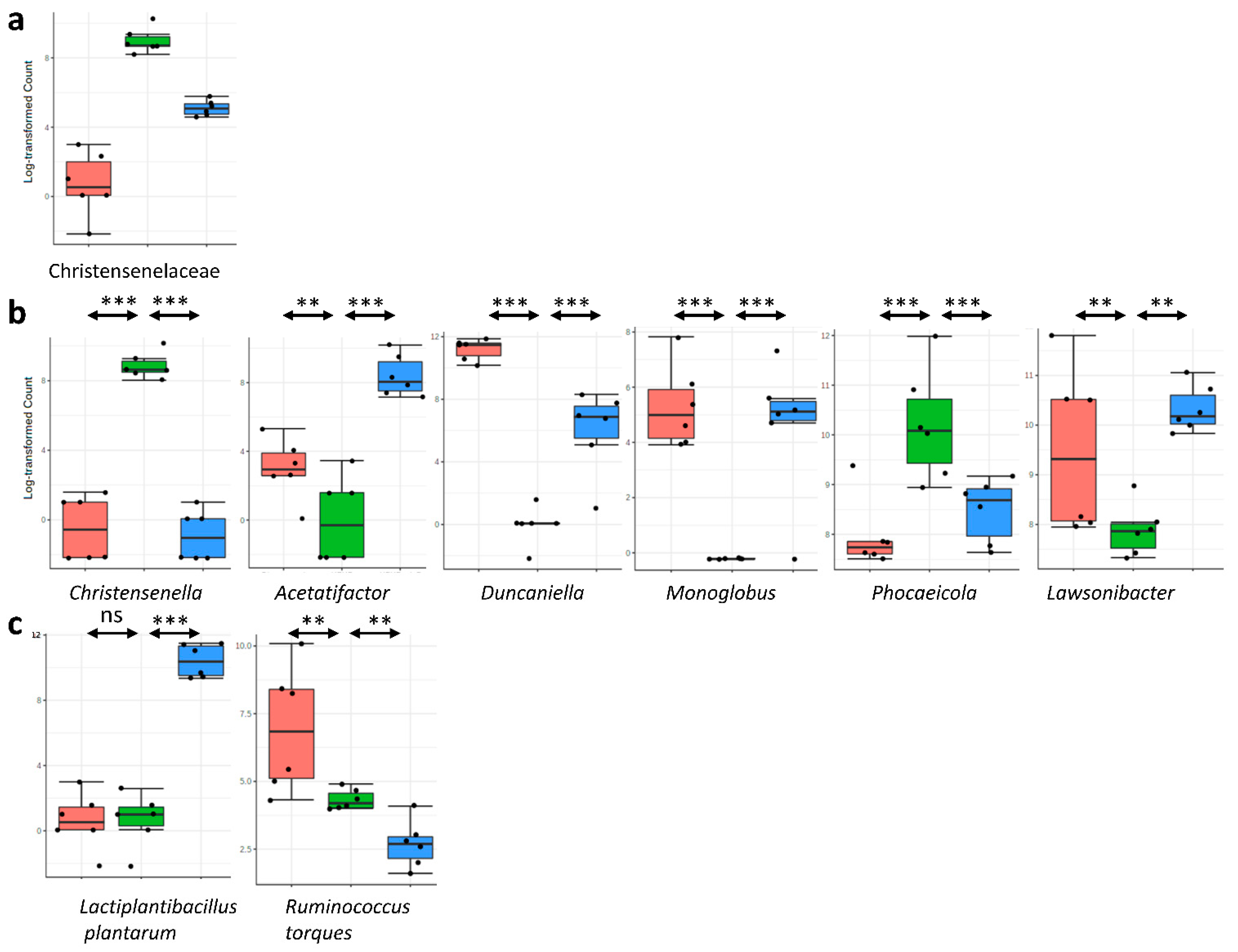 Nutrients 14 05212 g006 Nutrients 14 05212 g006