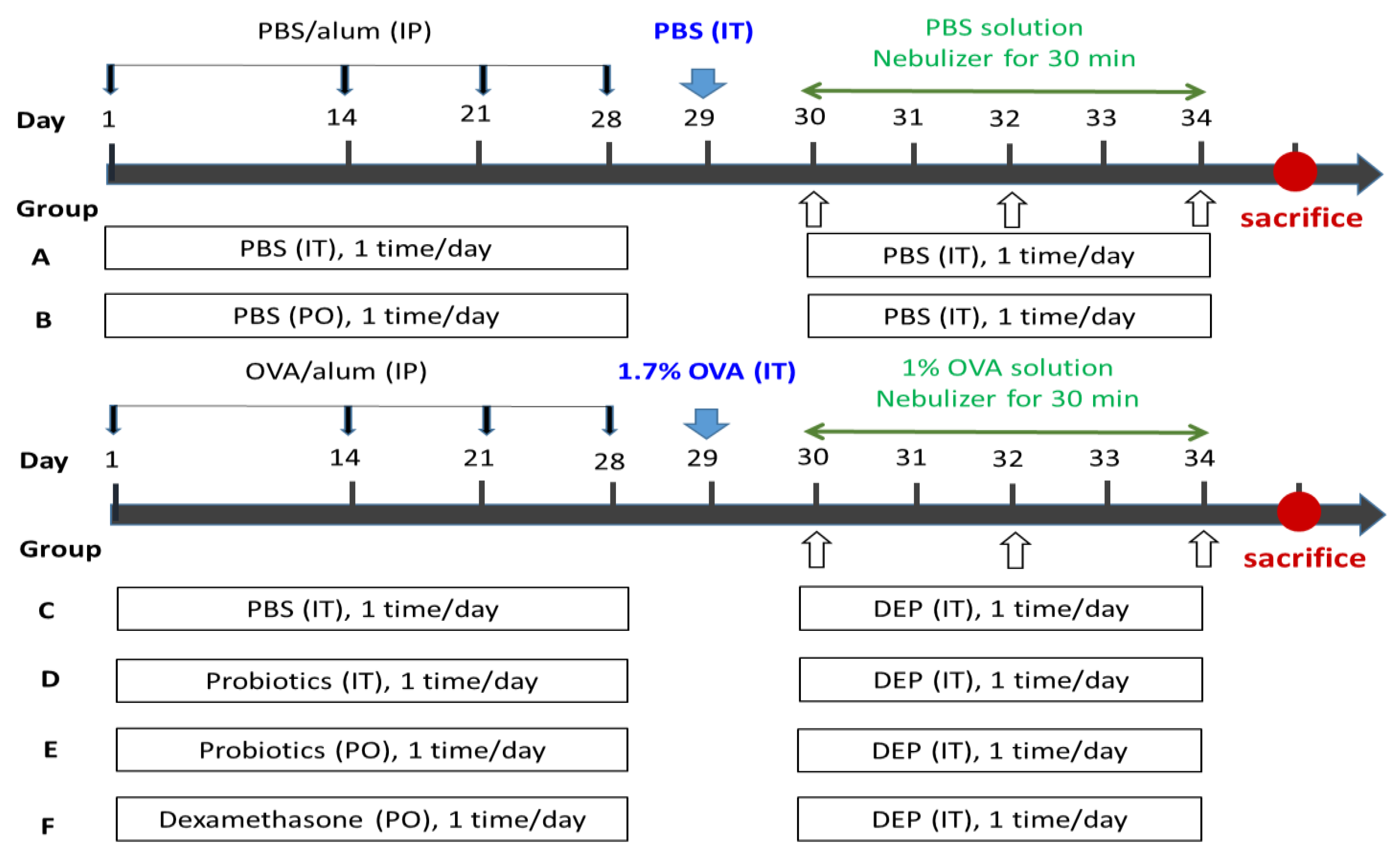 Nutrients 14 05219 g001