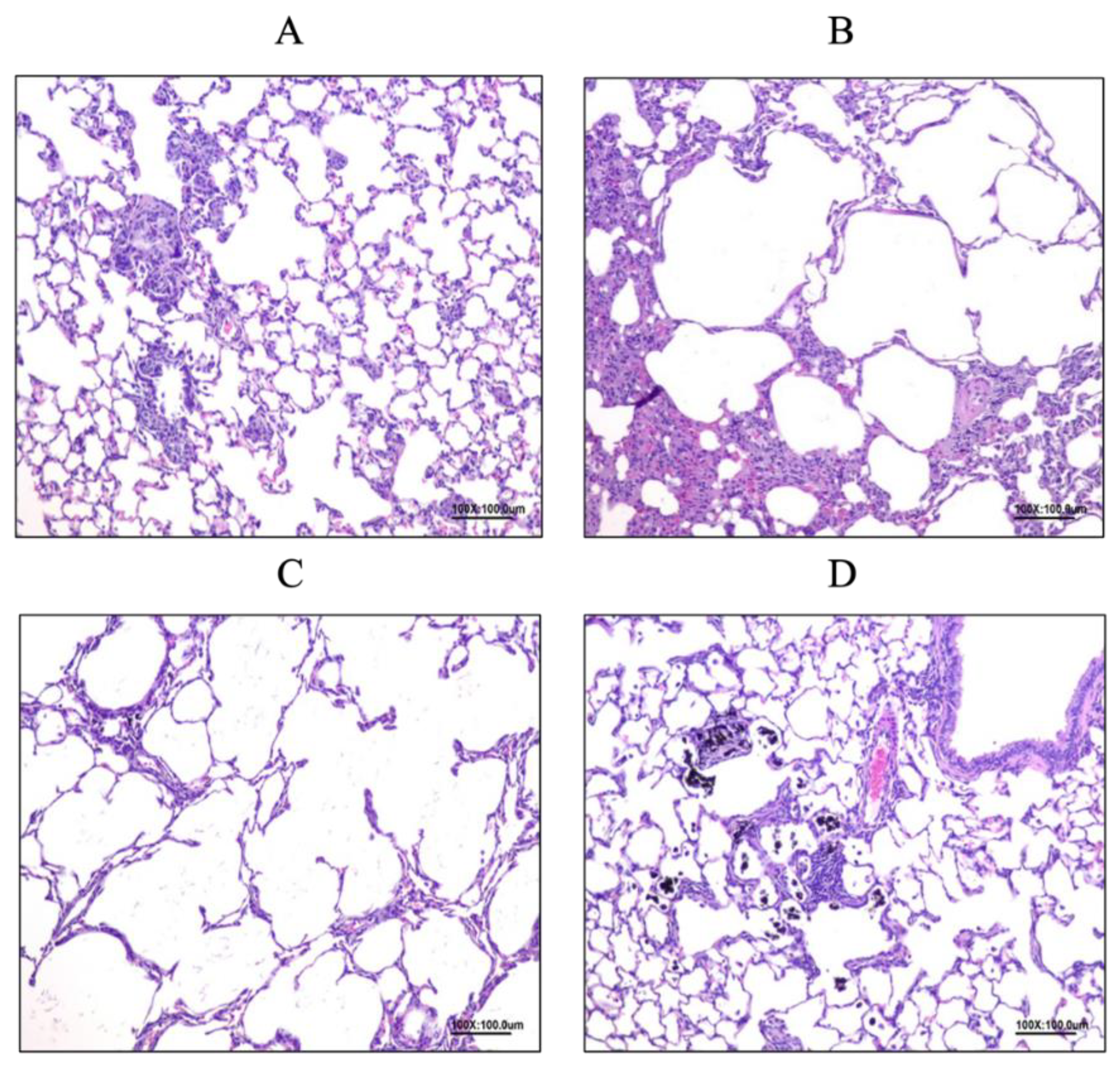 Nutrients 14 05219 g008