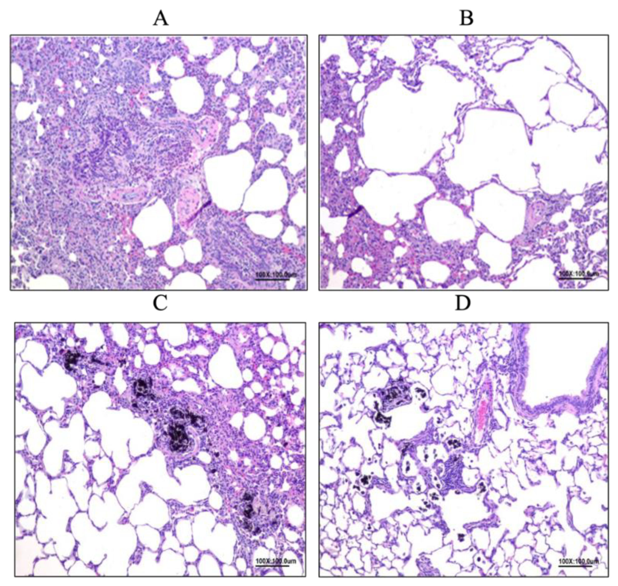Nutrients 14 05219 g009