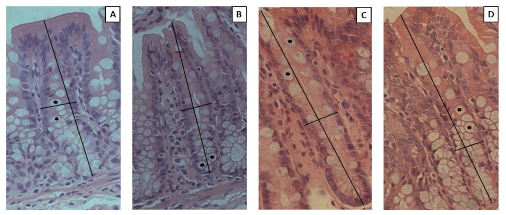 Nutrients 14 05234 g009 Nutrients 14 05234 g009