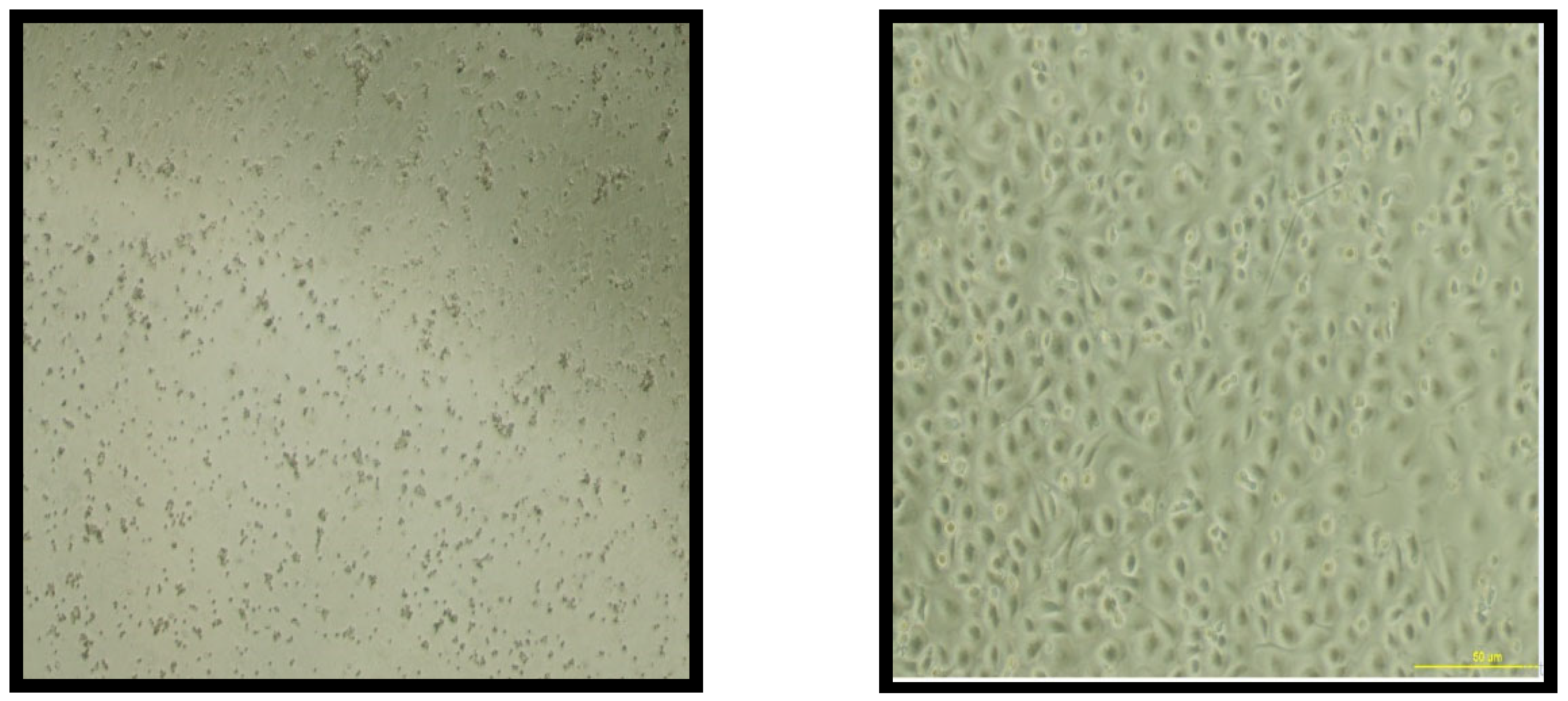 Nutrients 14 05240 g004