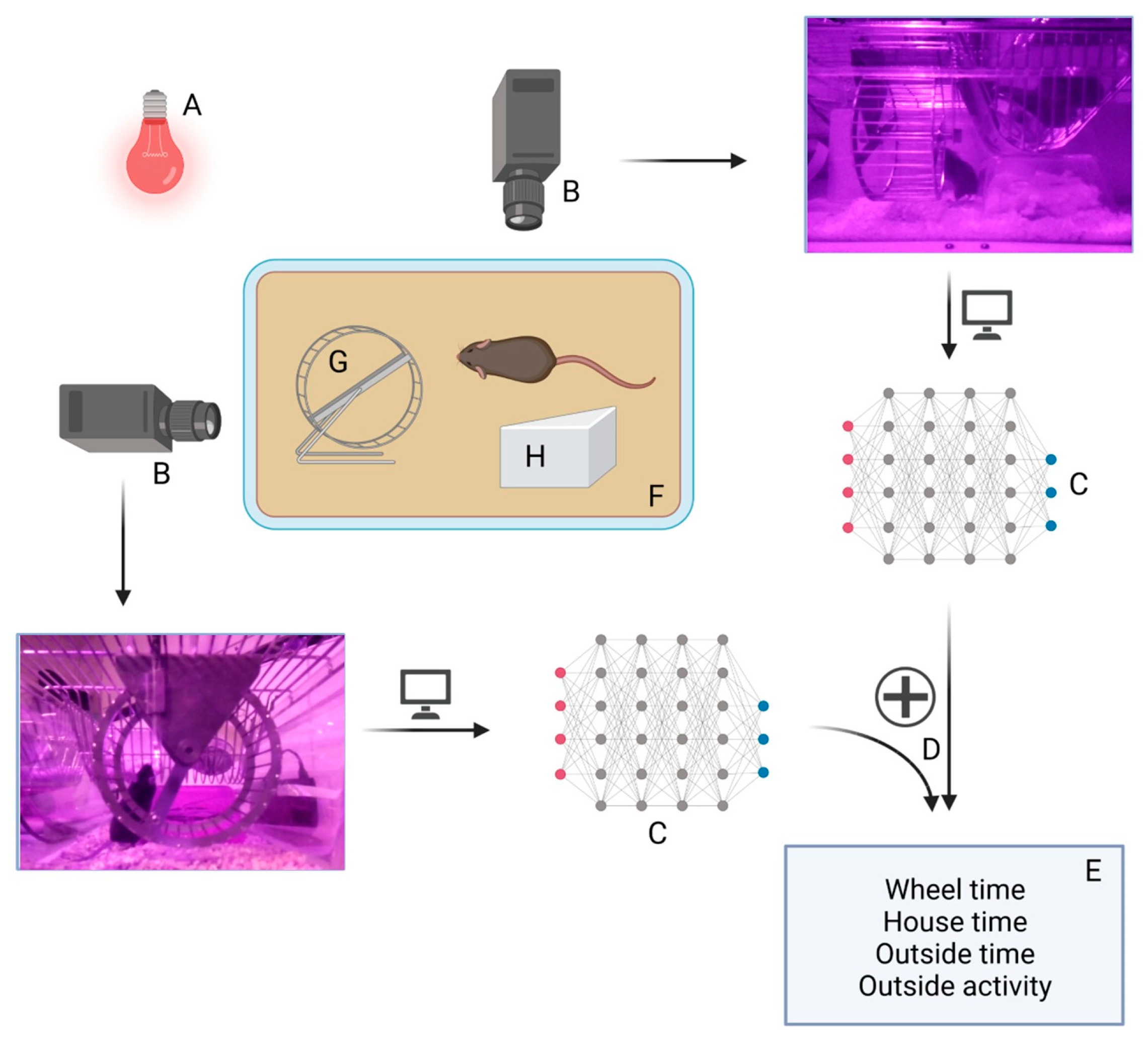 Nutrients 14 05252 g002