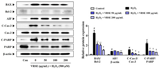 Neuroprotective and Anti-Neuroinflammatory Properties of Vignae ...
