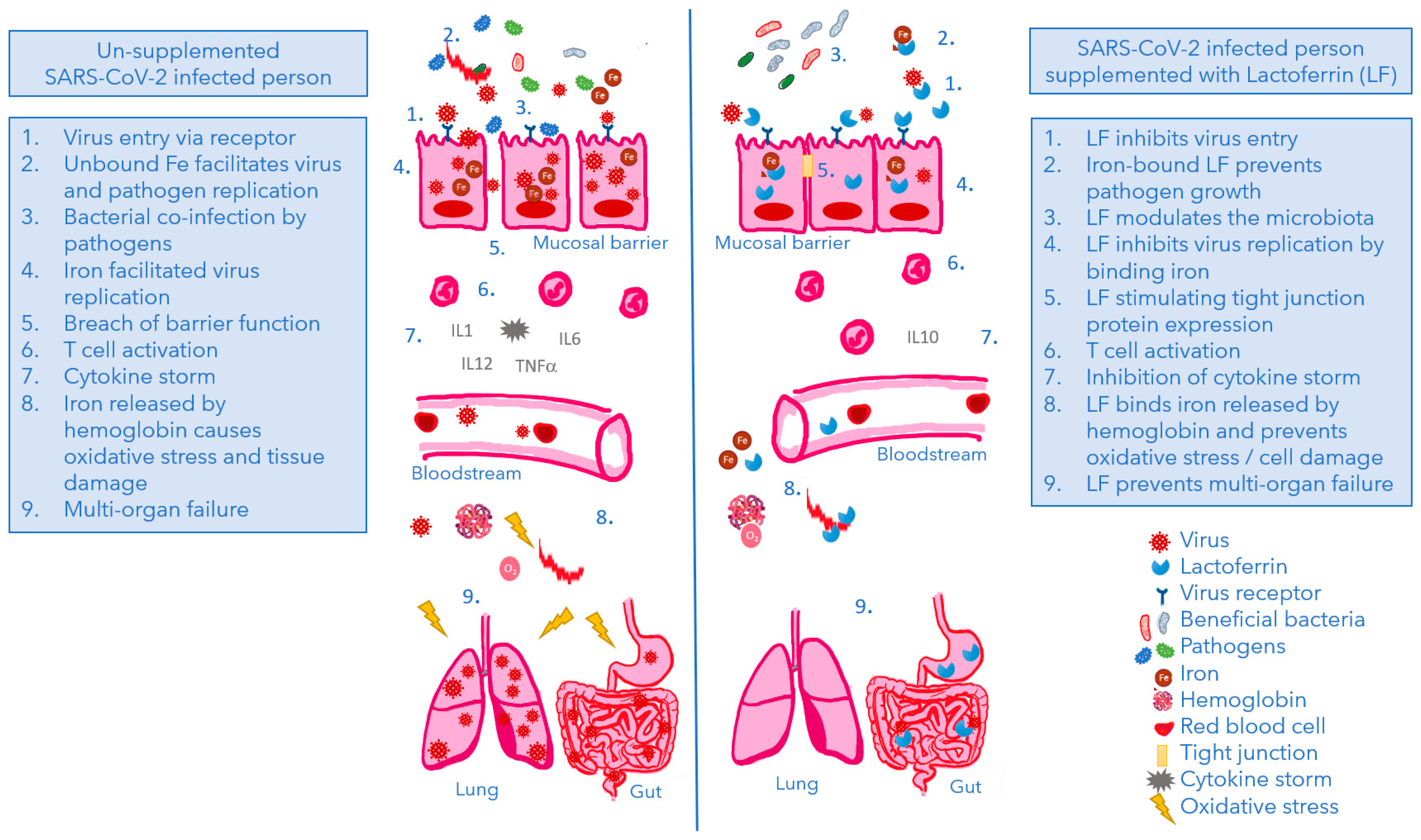 Nutrients 14 05274 g003