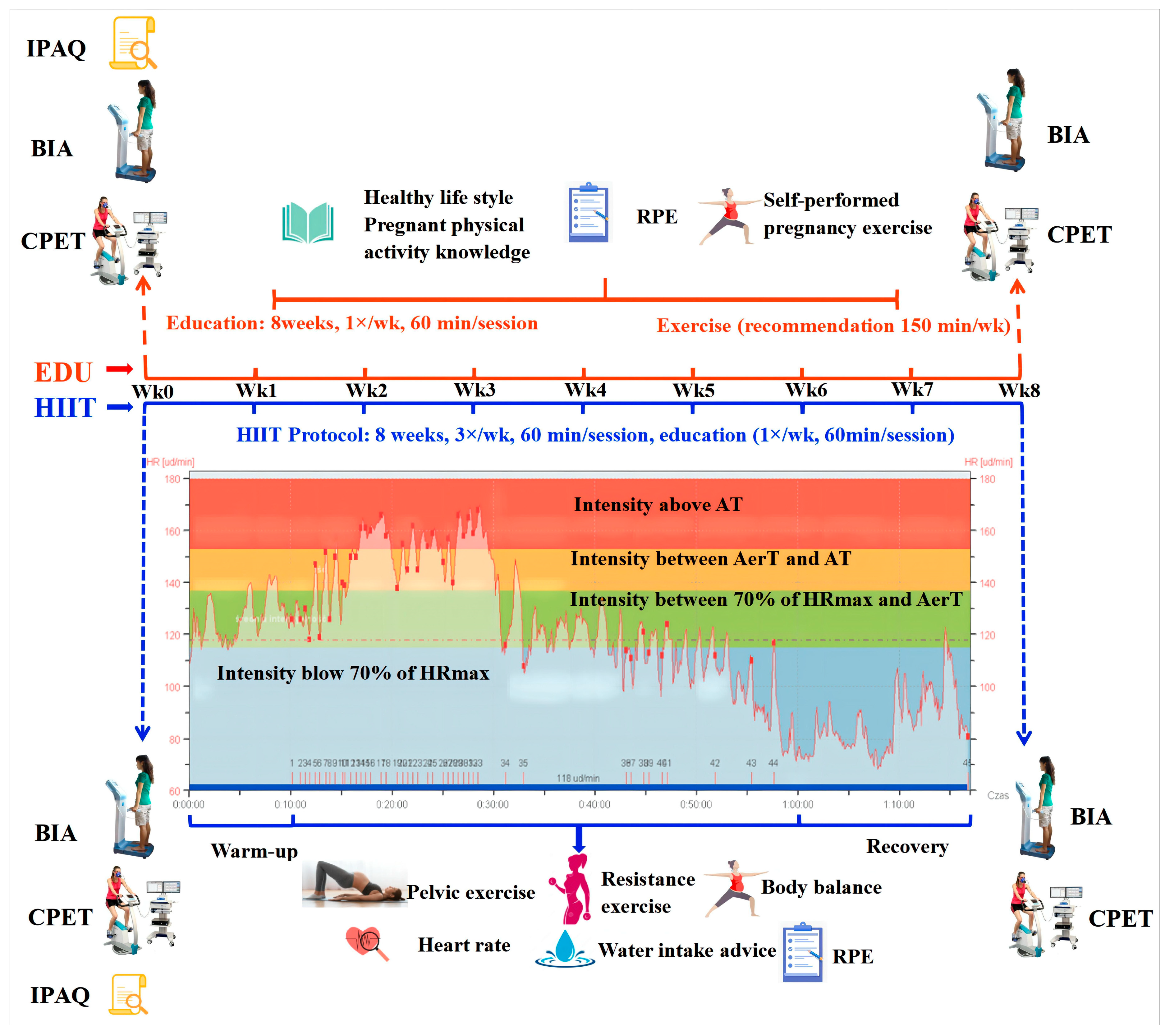 Nutrients 14 05279 g002 Nutrients 14 05279 g002