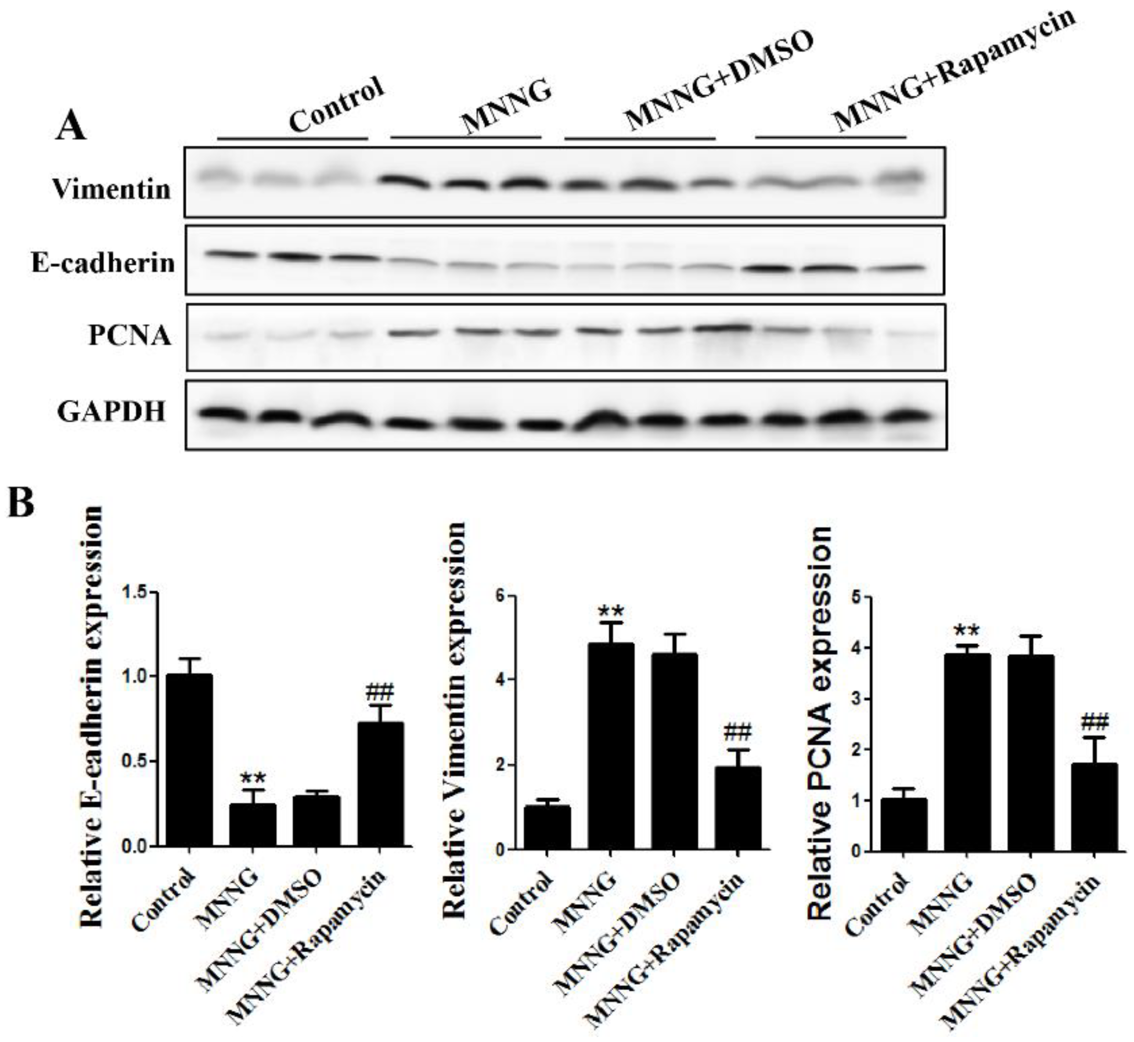 Nutrients 14 05281 g004 Nutrients 14 05281 g004