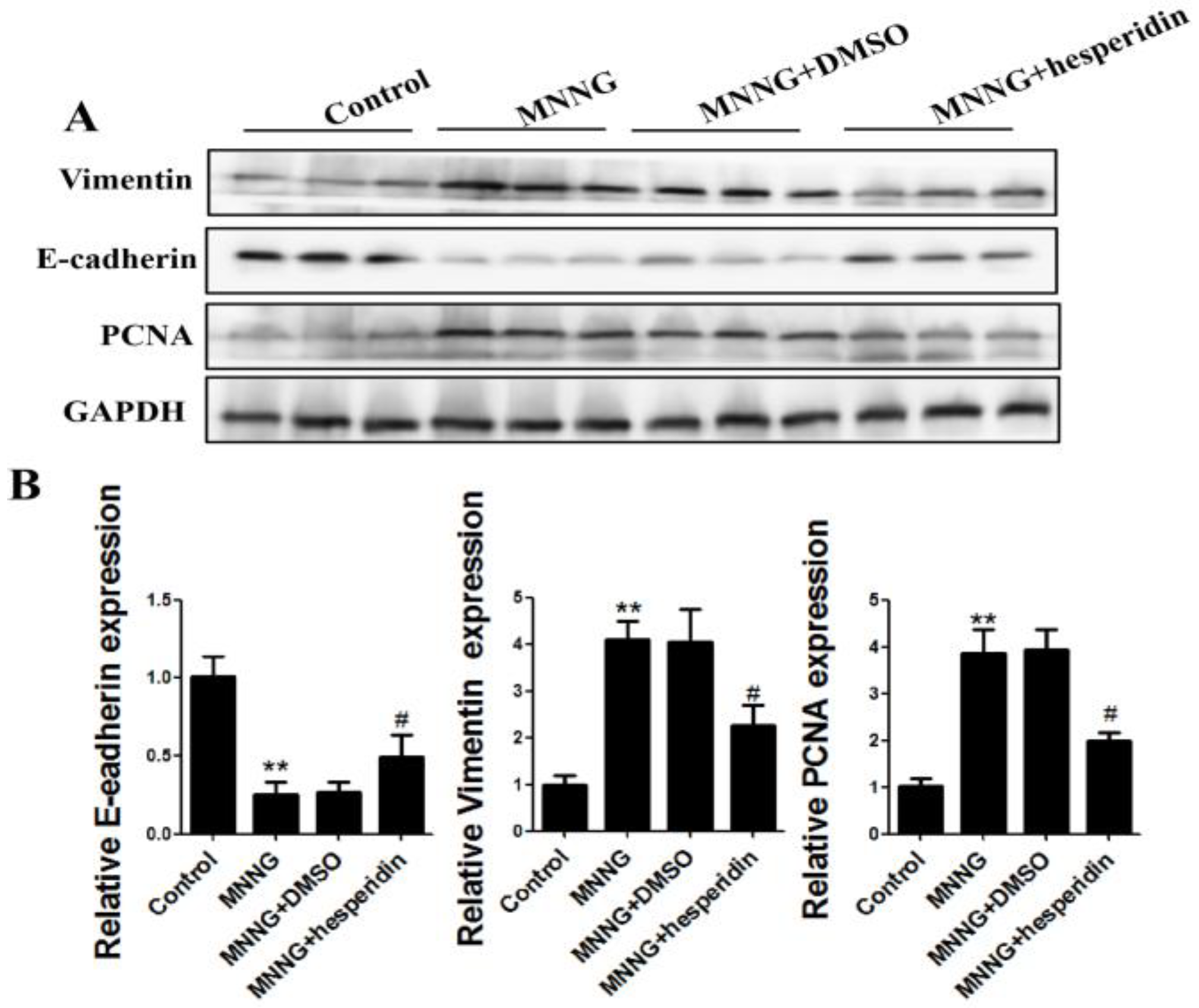 Nutrients 14 05281 g006 Nutrients 14 05281 g006