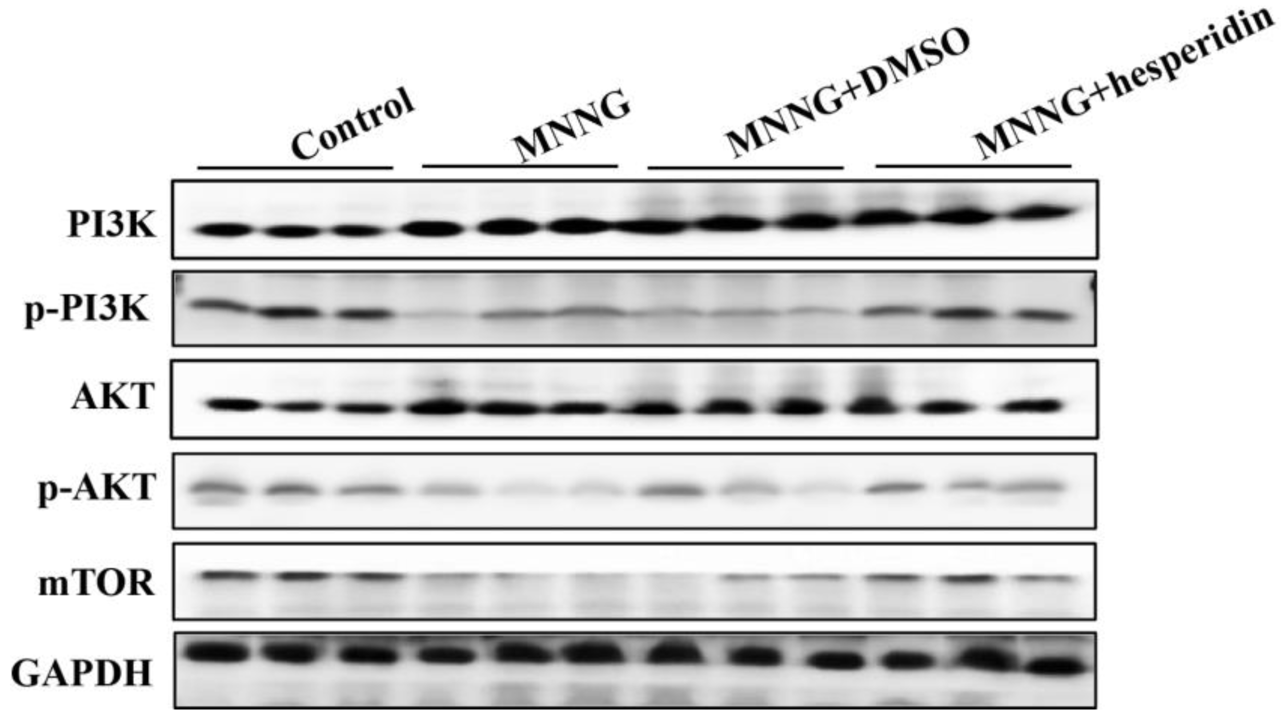 Nutrients 14 05281 g007 Nutrients 14 05281 g007