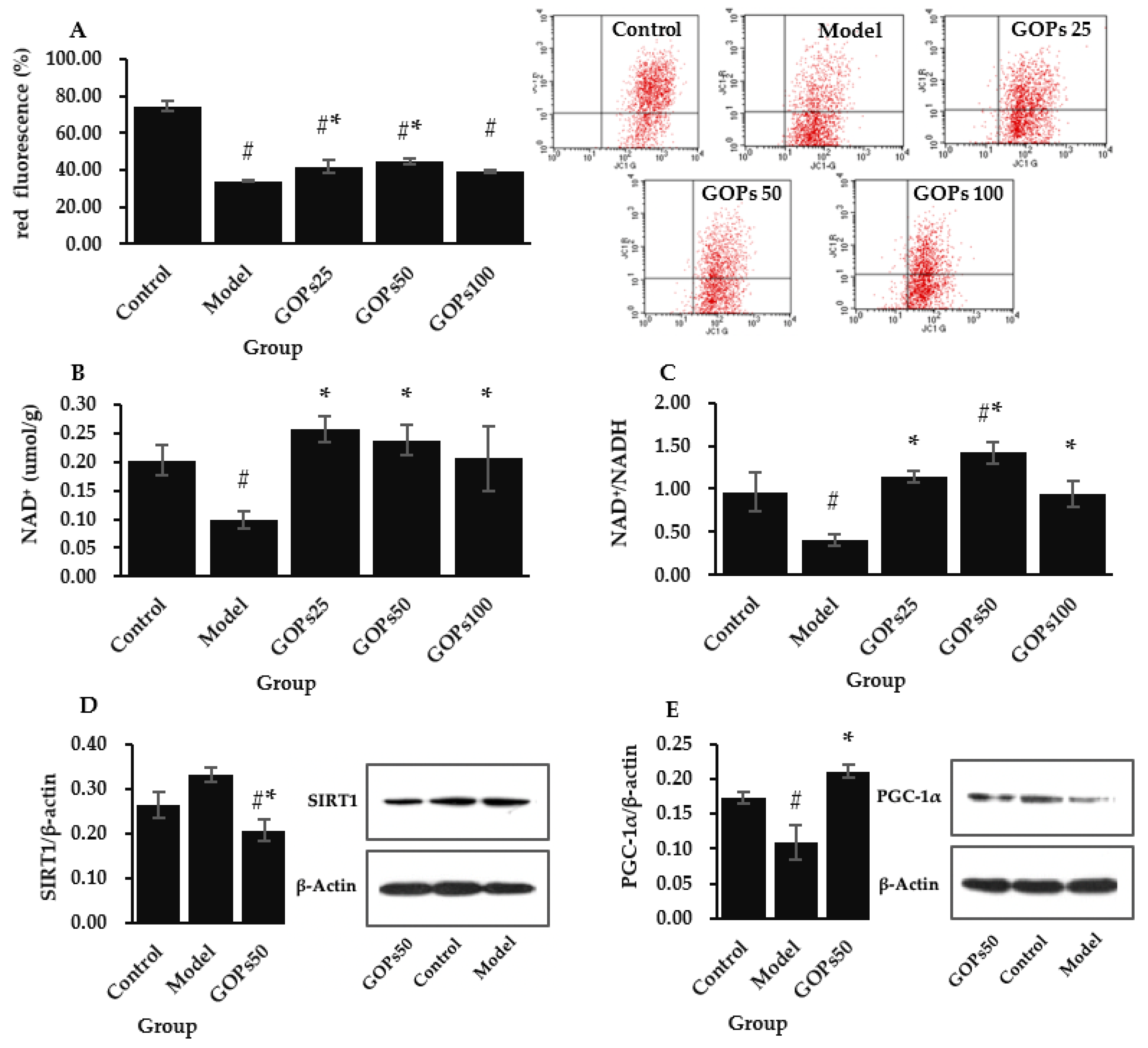 Nutrients 14 05289 g004