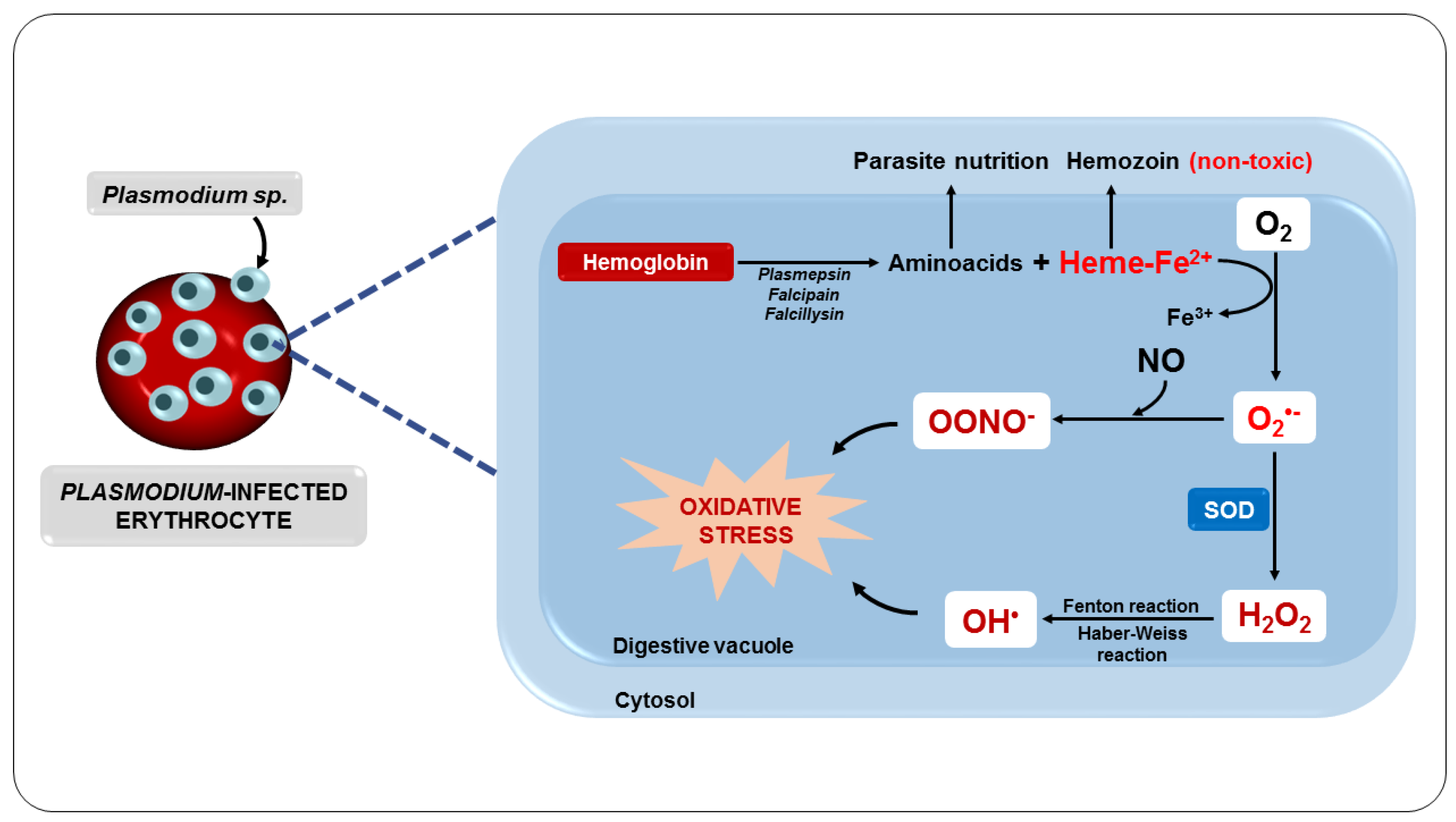 Nutrients 14 05303 g004