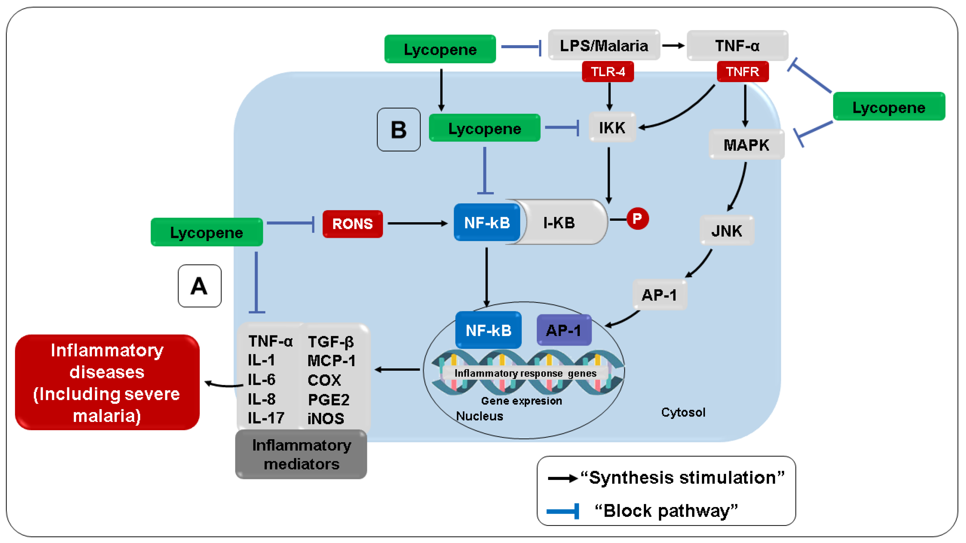 Nutrients 14 05303 g007