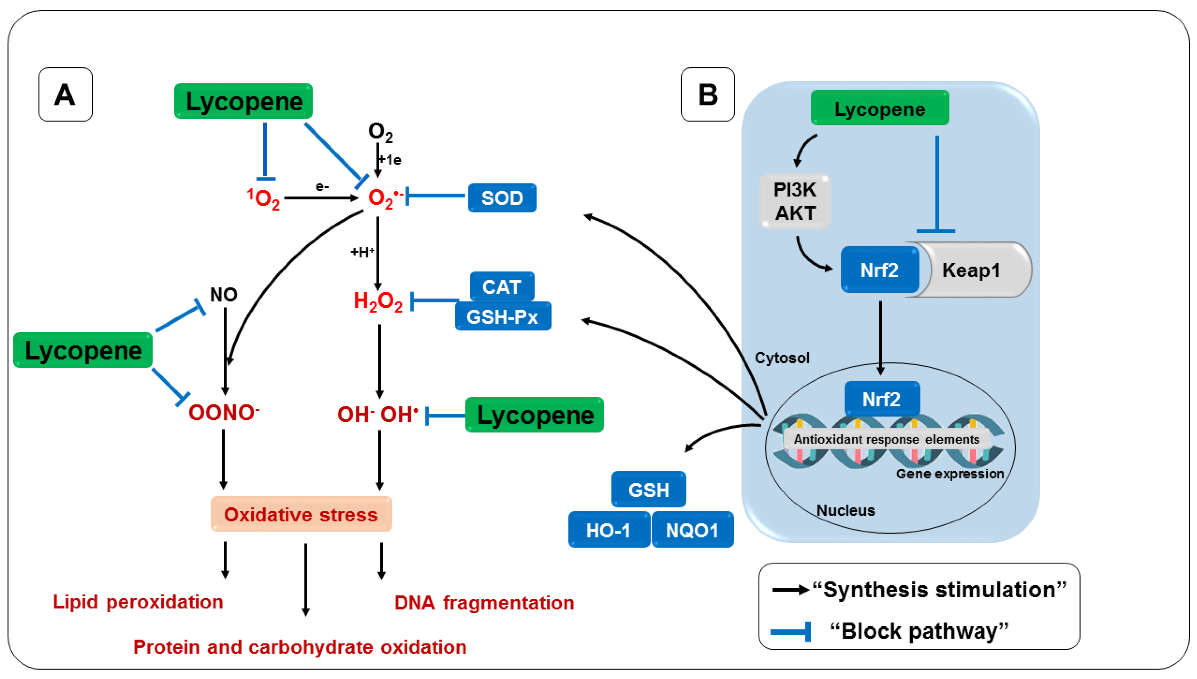 Nutrients 14 05303 g008