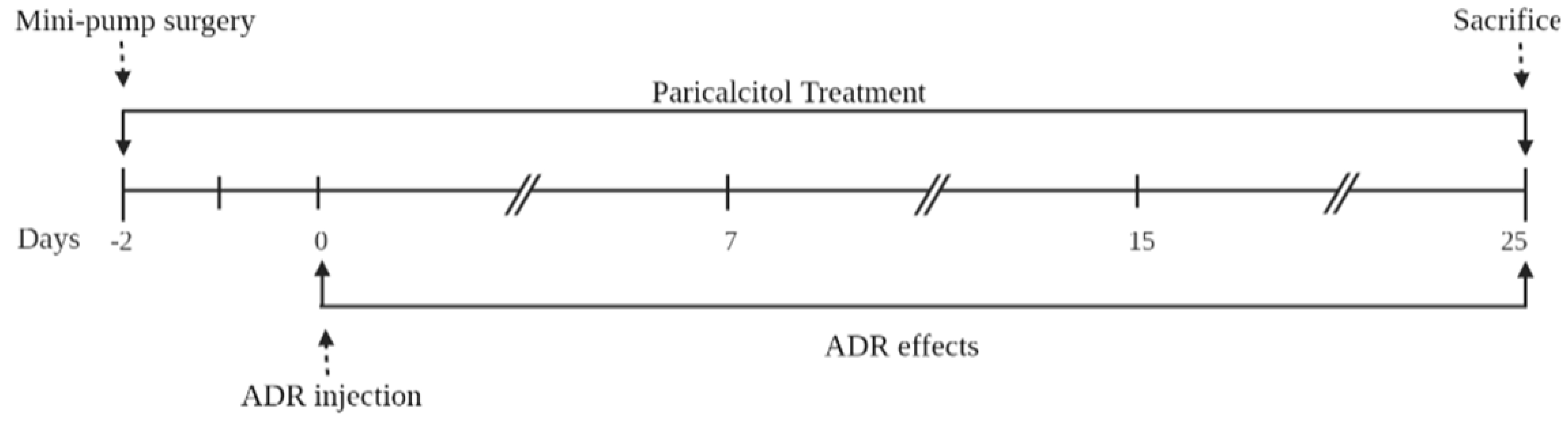 Nutrients 14 05316 g001 Nutrients 14 05316 g001