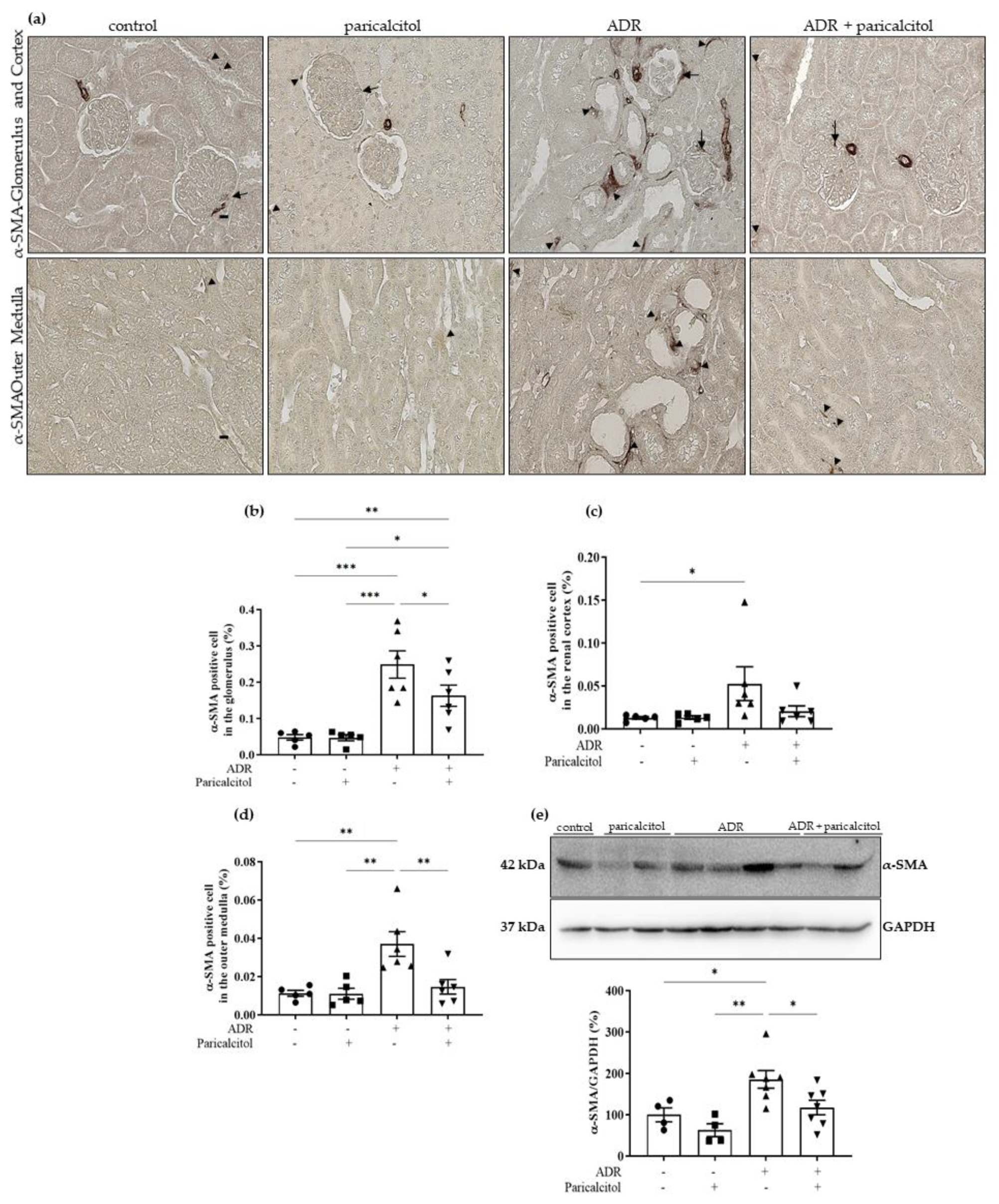 Nutrients 14 05316 g006 Nutrients 14 05316 g006