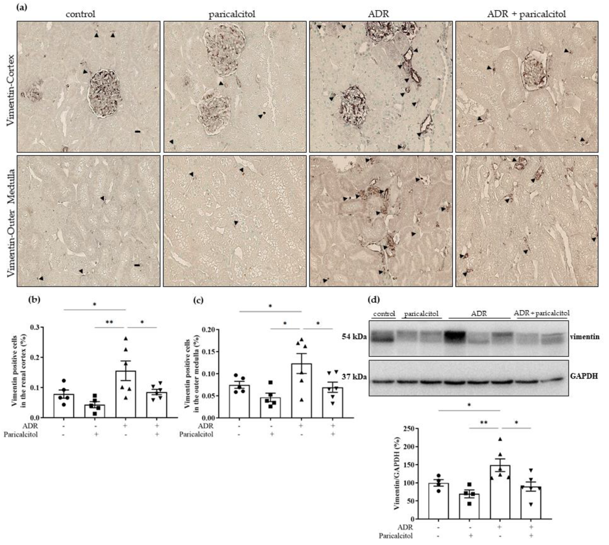 Nutrients 14 05316 g007 Nutrients 14 05316 g007