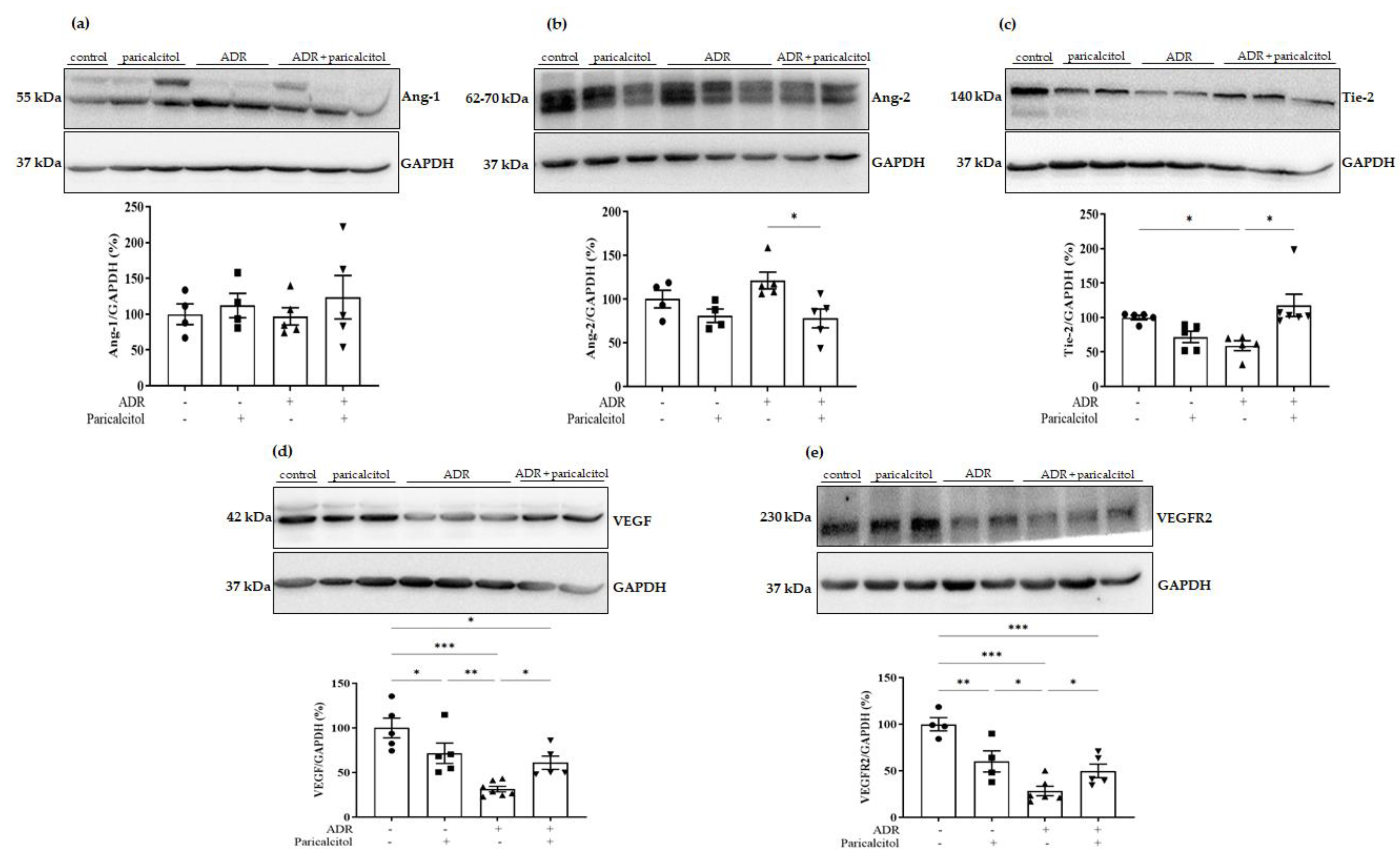 Nutrients 14 05316 g010 Nutrients 14 05316 g010